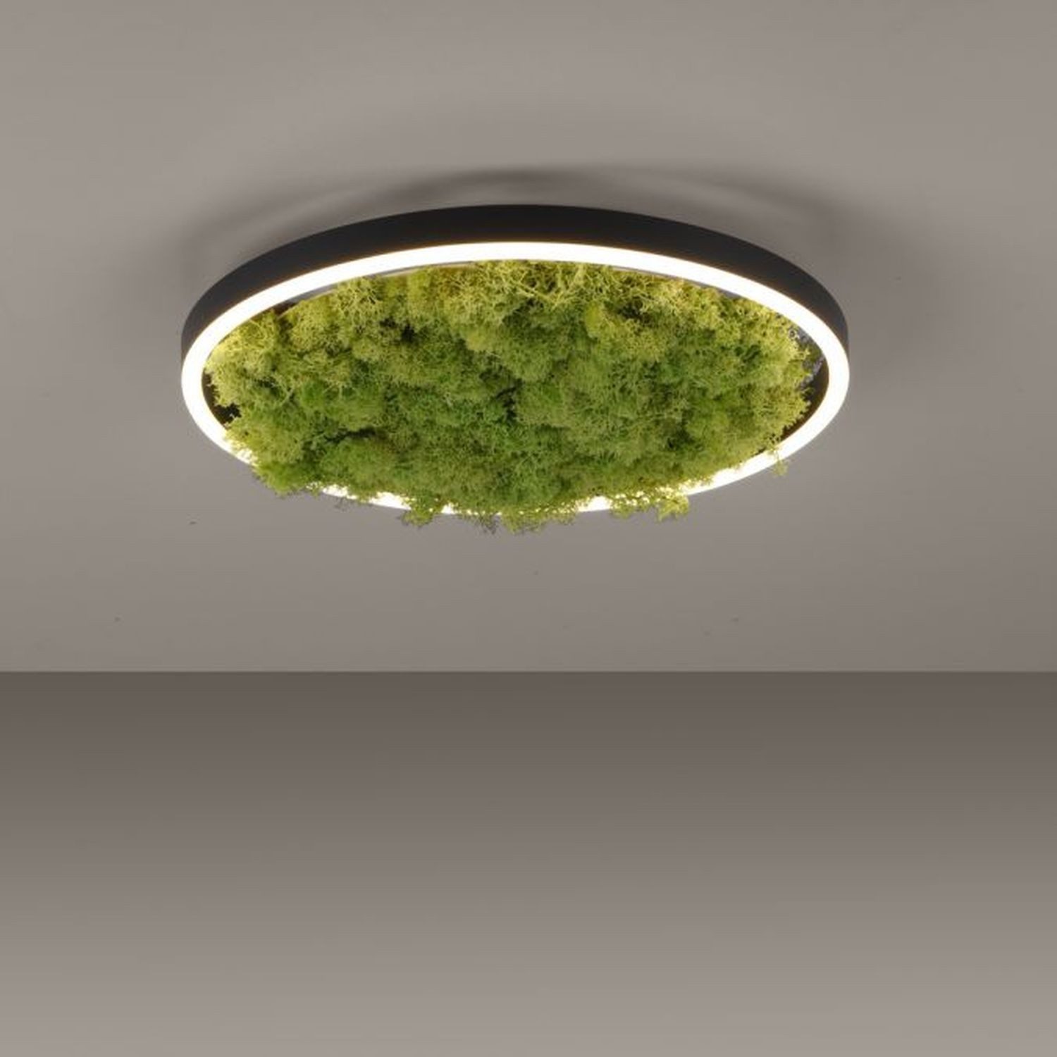 Licht-Erlebnisse Deckenleuchte DARMIS, LED fest integriert, Warmweiß, LED warmweißes Licht 3000 K 2650 lm D: 39,3 cm rund Schwarz Moos