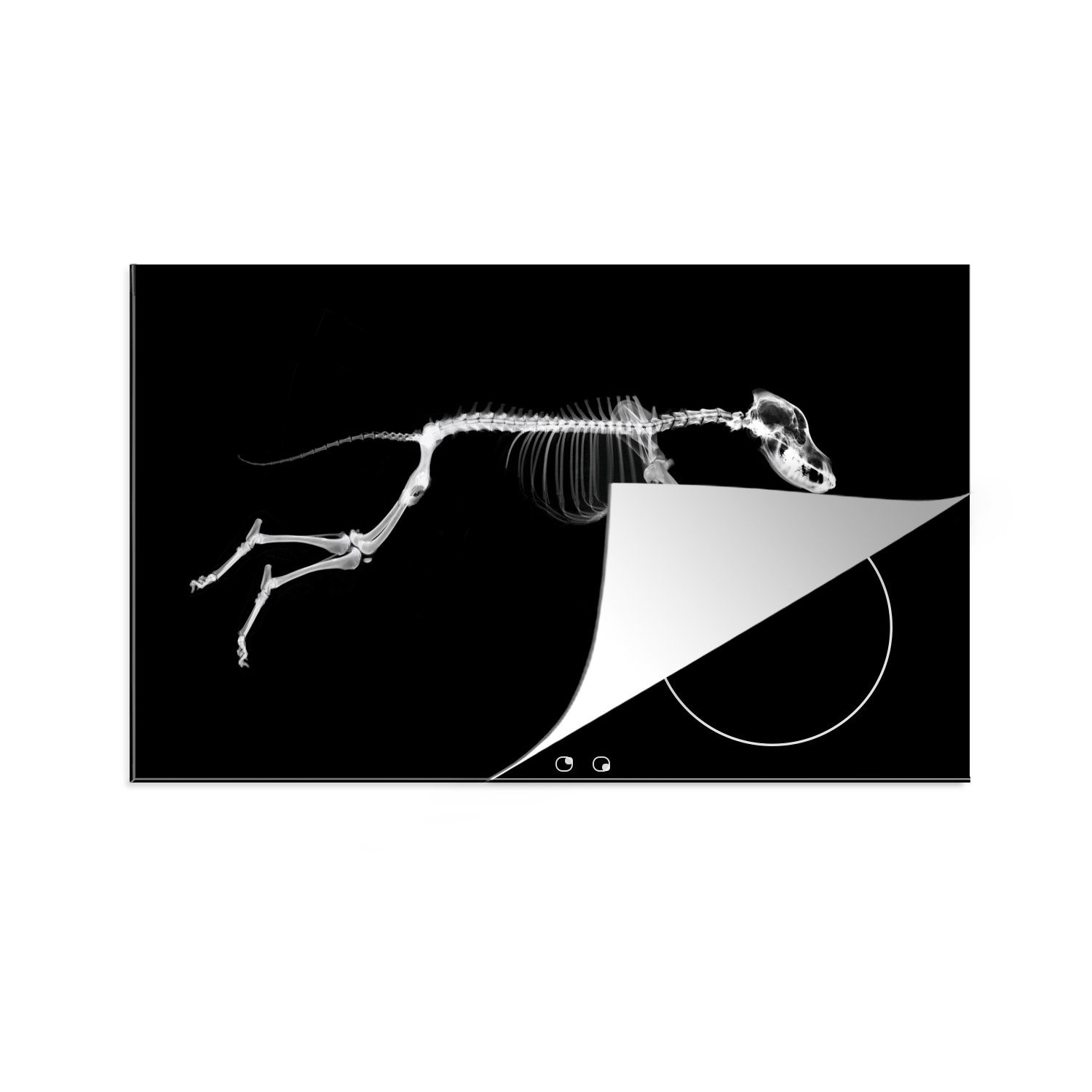 MuchoWow Herdblende-/Abdeckplatte Skelett eines laufenden Hundes, Vinyl, (1 tlg), 83x51 cm, Ceranfeldabdeckung, Arbeitsplatte für küche