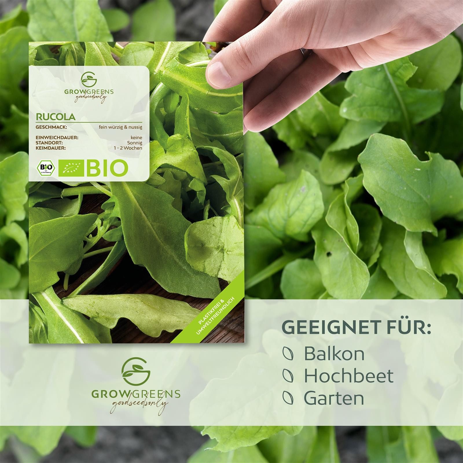 Growgreens Gemüsesamen BIO Rucola Samen (Eruca sativa) - Rauke Saatgut (500 günstig online kaufen
