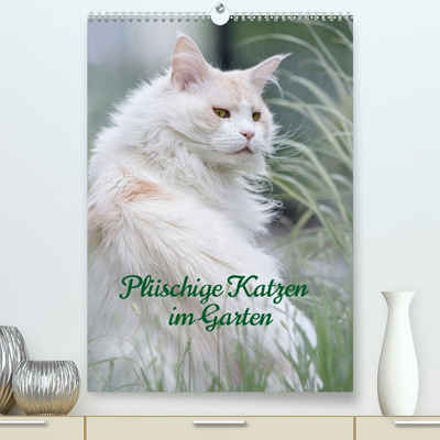 CALVENDO Wandkalender Plüschige Katzen im Garten (Premium, hochwertiger DIN A2 Wandkalender 2023, Kunstdruck in Hochglanz)