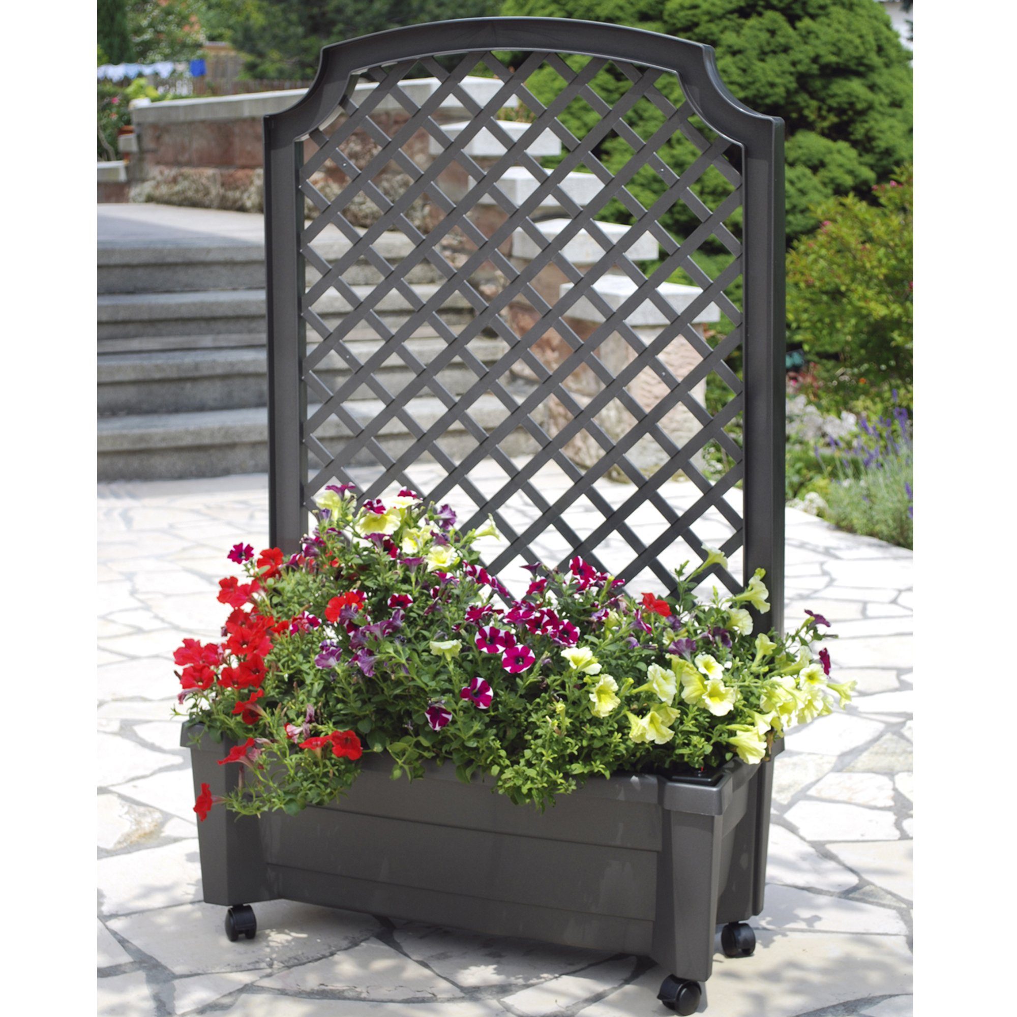 Kunststoff Blumenkästen mit Rankgitter online kaufen OTTO
