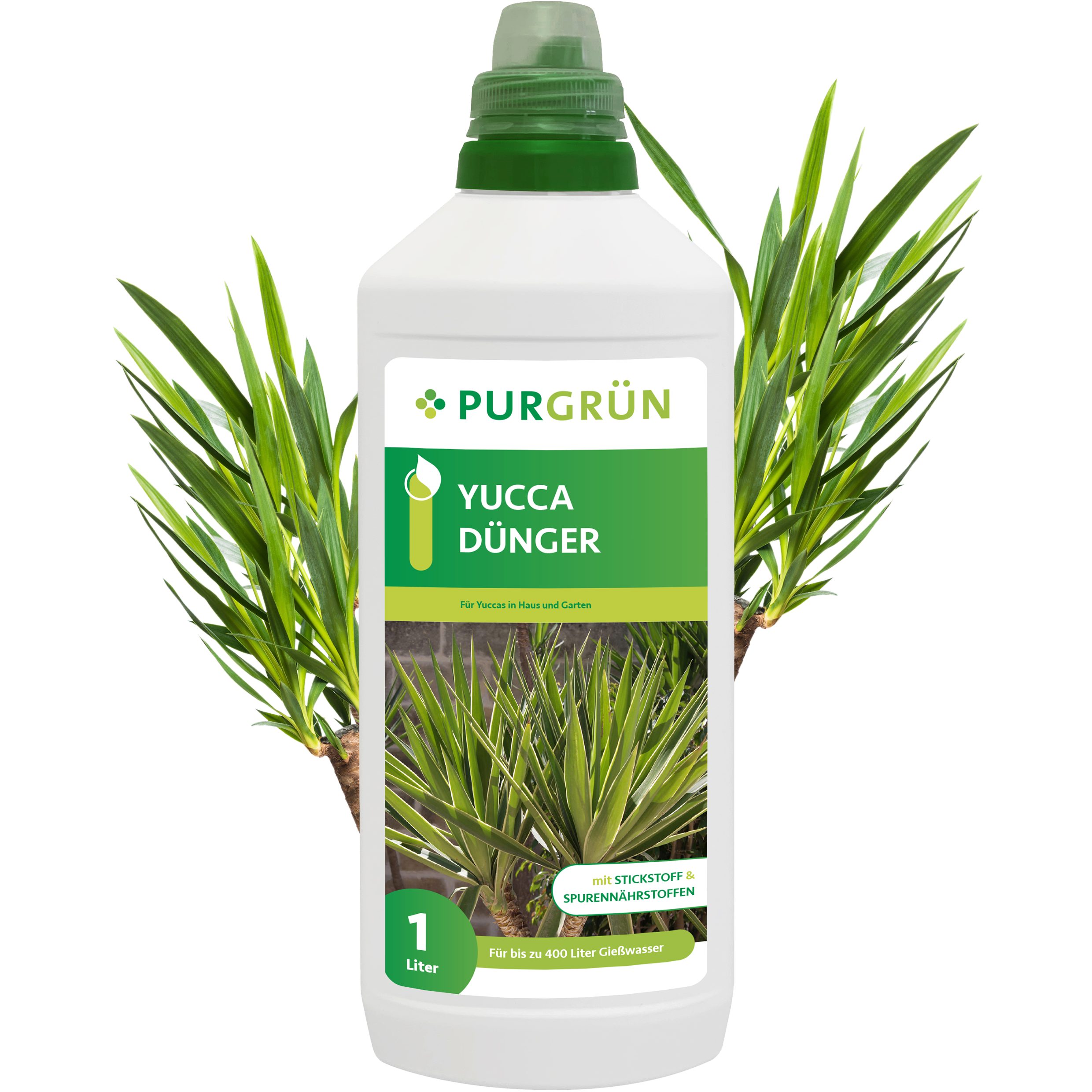 Universaldünger Purgrün Yucca Dünger, NPK 10+4+6, für sattgrüne Blätter, 1L