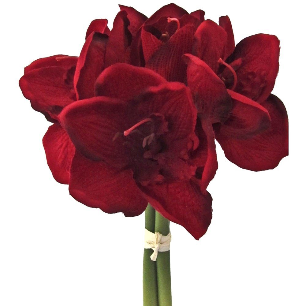 HOME Blüten Amaryllis, & Kunstblume cm matches21 Stiele HOBBY, 3 Bund dunkelrot 5 Amaryllis 1 12 cm Kunstblume Ø 32 Höhe