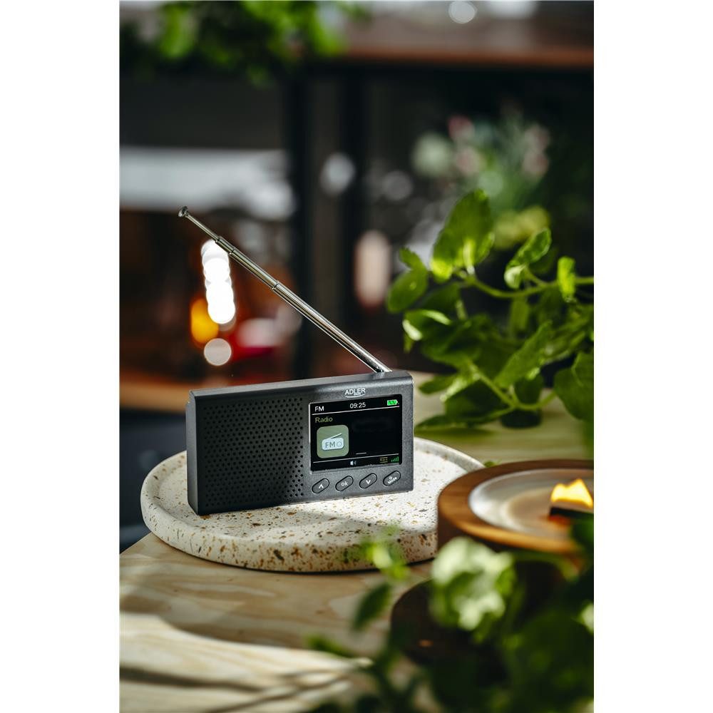 ADLER EUROPE AD 1198 UKW-Radio (FM 87,5 108 MHz, 20 Sender, Bluetooth, LCD-Display, Digital, schwarz)