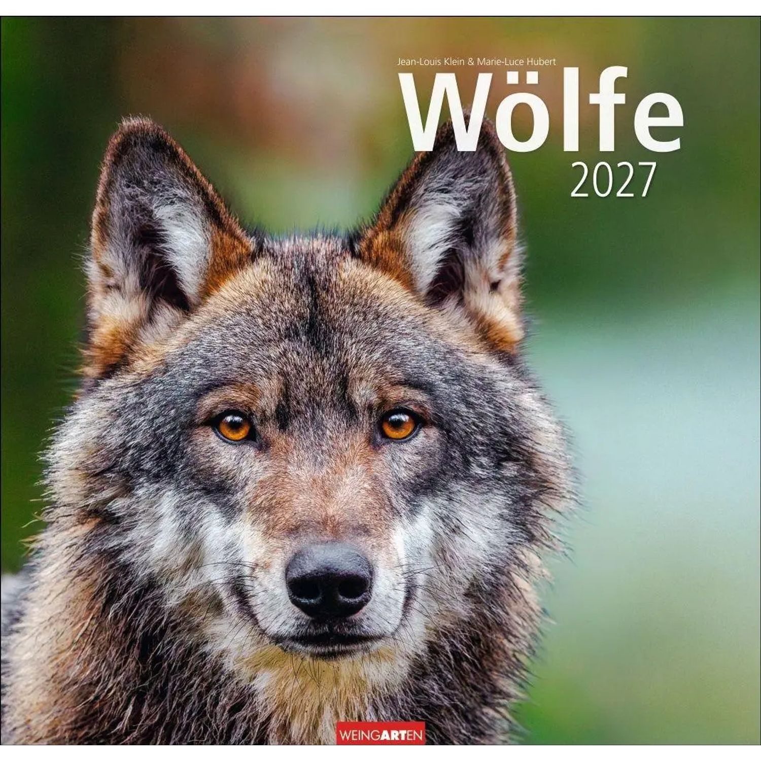 Wandkalender Wölfe Kalender 2027