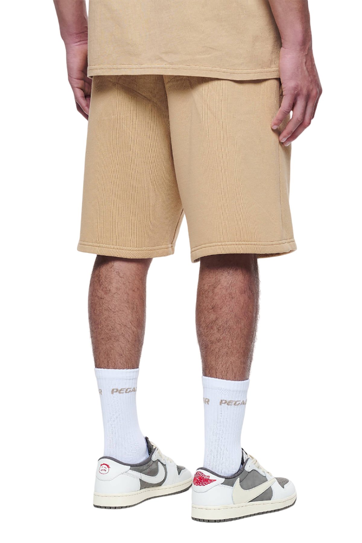PEGADOR Shorts Logo Heavy (kein Set)