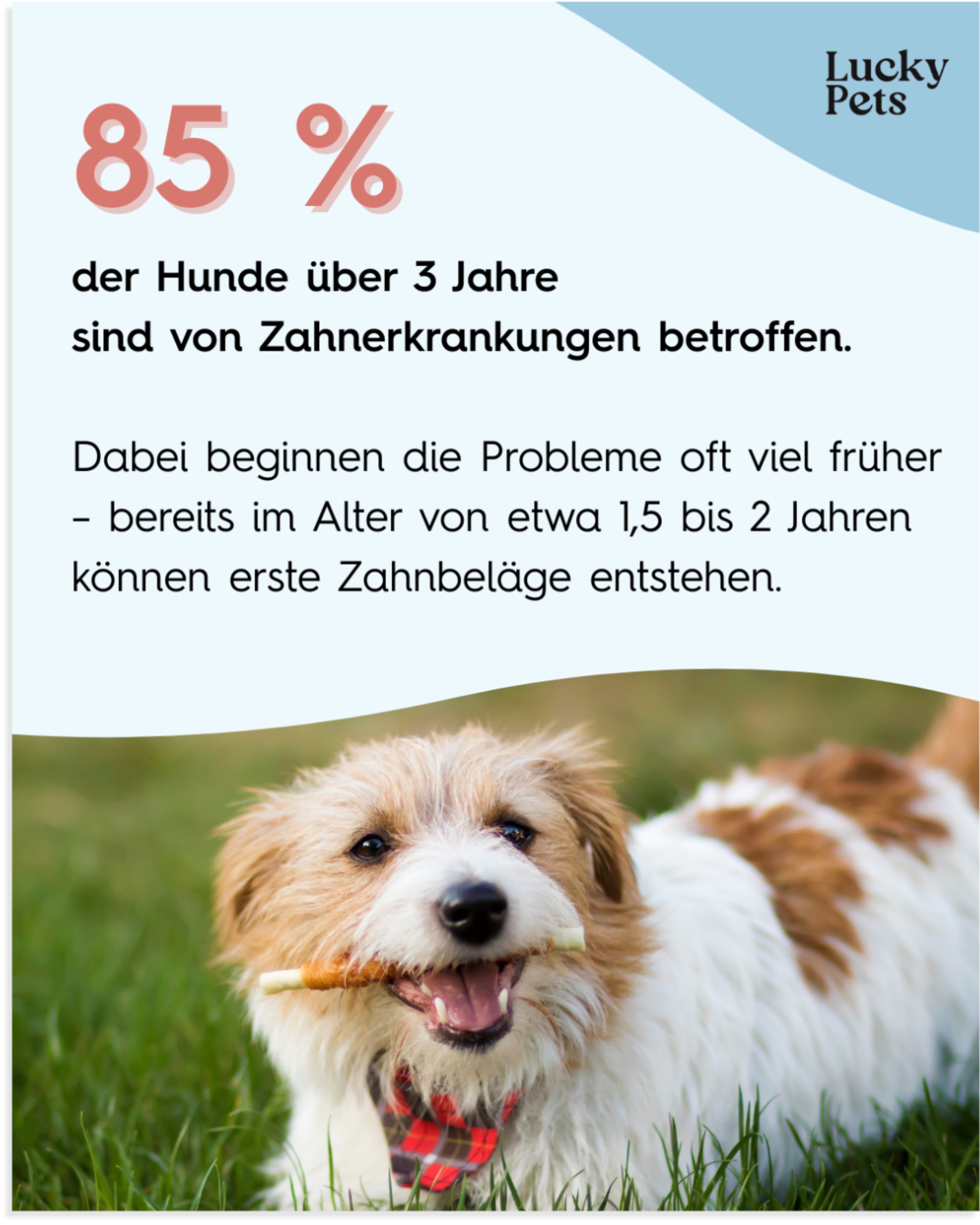 Lucky Pets Zahnpflege Pulver für Hunde - gegen Mundgeruch & Zahnstein, Nahrungsergänzungsmittel für: Hunde