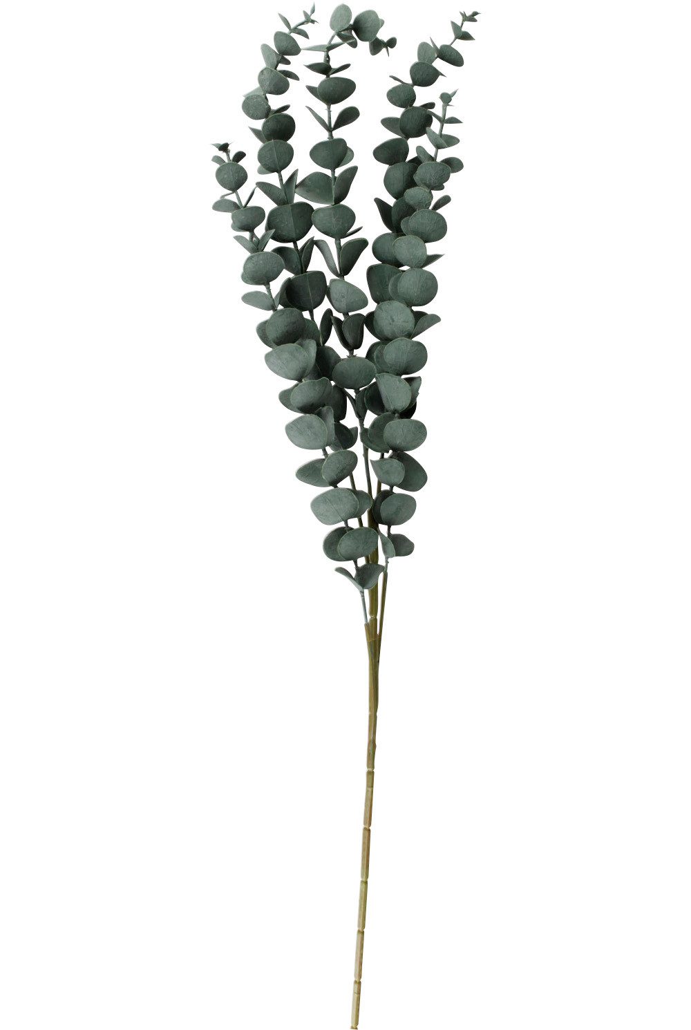 Kunstzweig Eukalyptus Zweig "Evergreen", 80cm