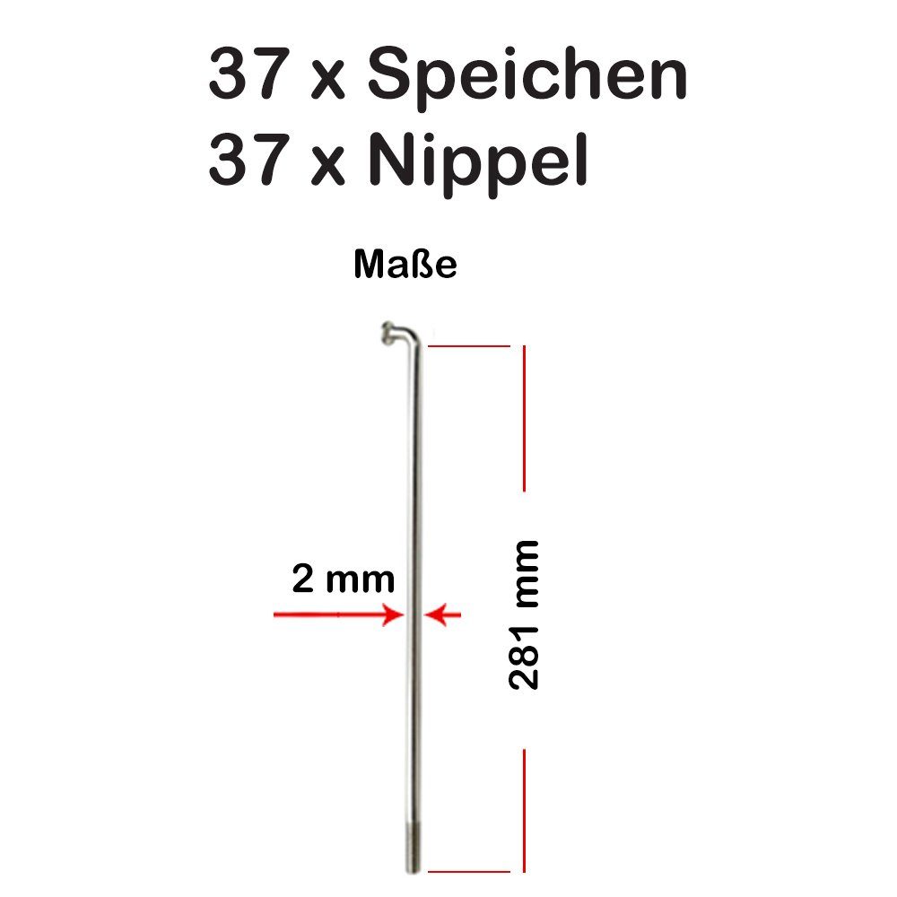 silber 2mm 281mm Fahrrad-Laufrad NIROSTA Büchel Stück Spokes Speichen 37