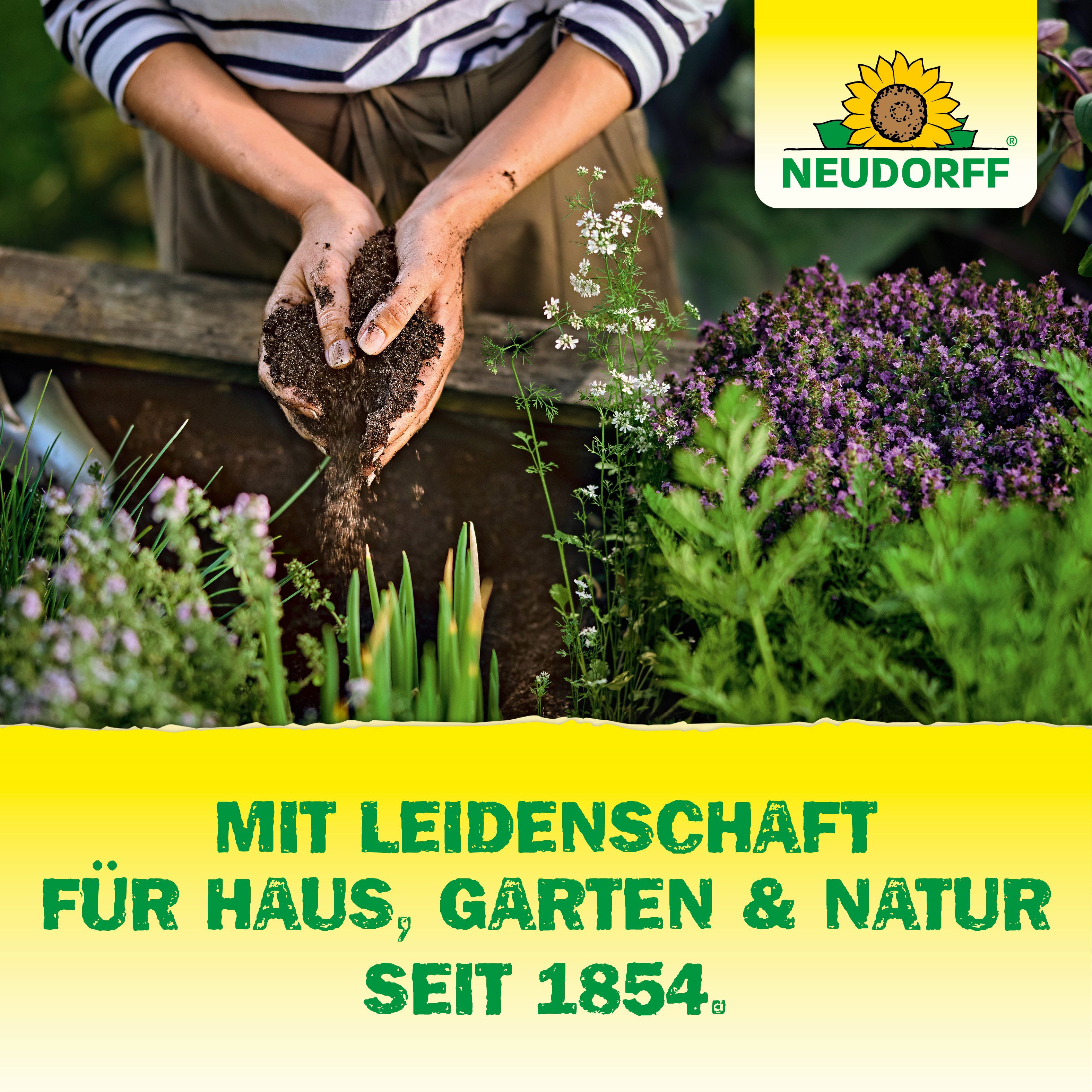 Neudorff Pflanzenstärkungsmittel Algan Wachstumshilfe 250 ml, natürlicher Wurzelaktivator, gewonnen durch milden, Extraktionsprozess aus der Braunalge Ascophyllum Nodosum, Wachstumsstimulator mit Braunalgenextrakt für kräftige Pflanzen