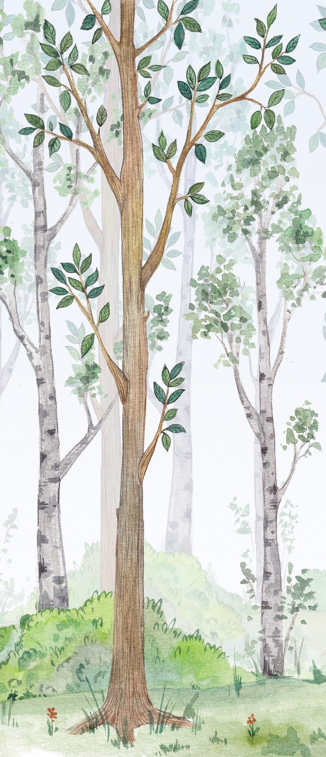 Wallarena Türtapete Selbstklebend Kinderzimmer Wald Türposter Türfolie Türa günstig online kaufen