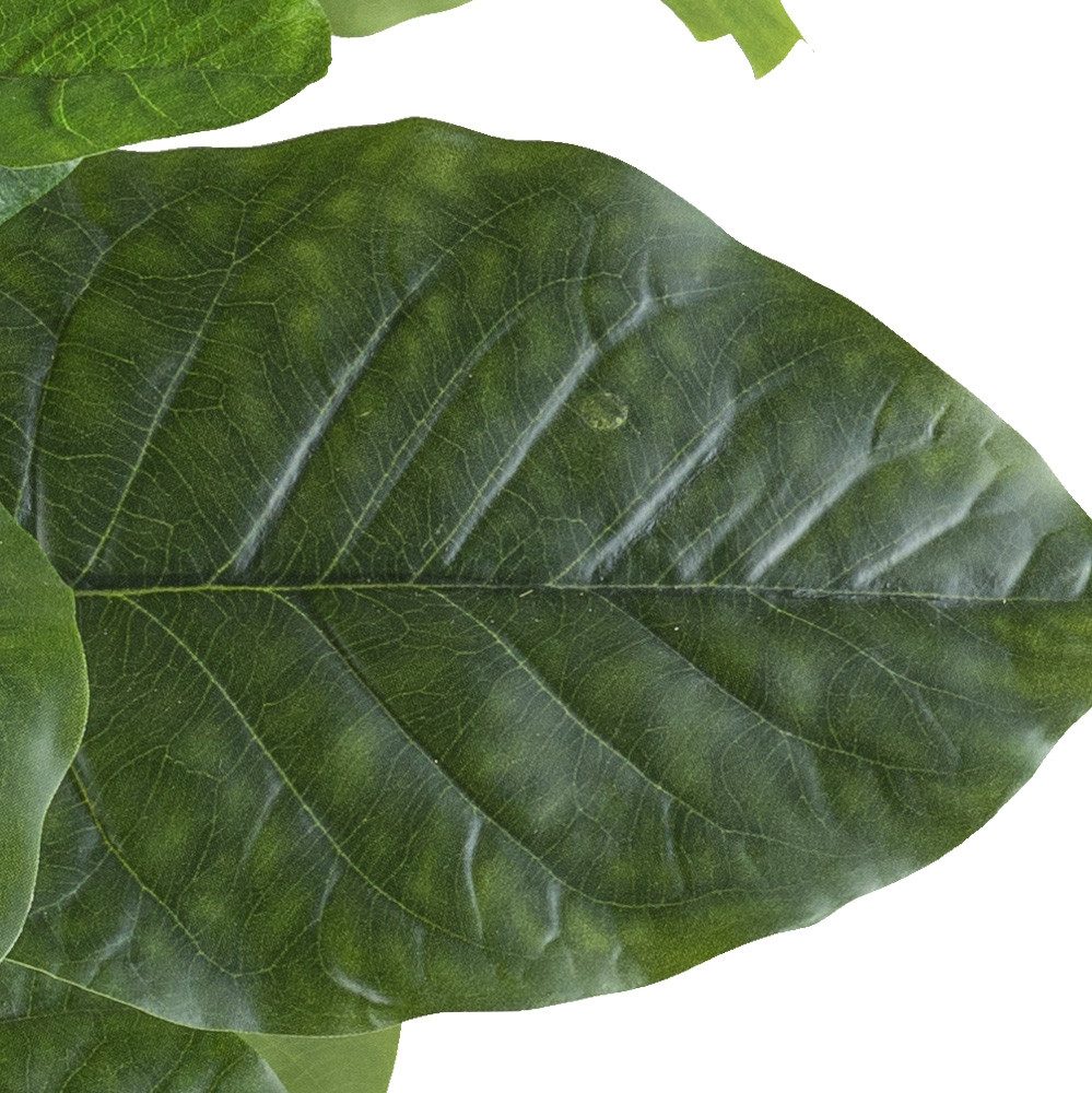 Kunstpflanze Ficus petiolaris, Creativ green, Höhe günstig online kaufen