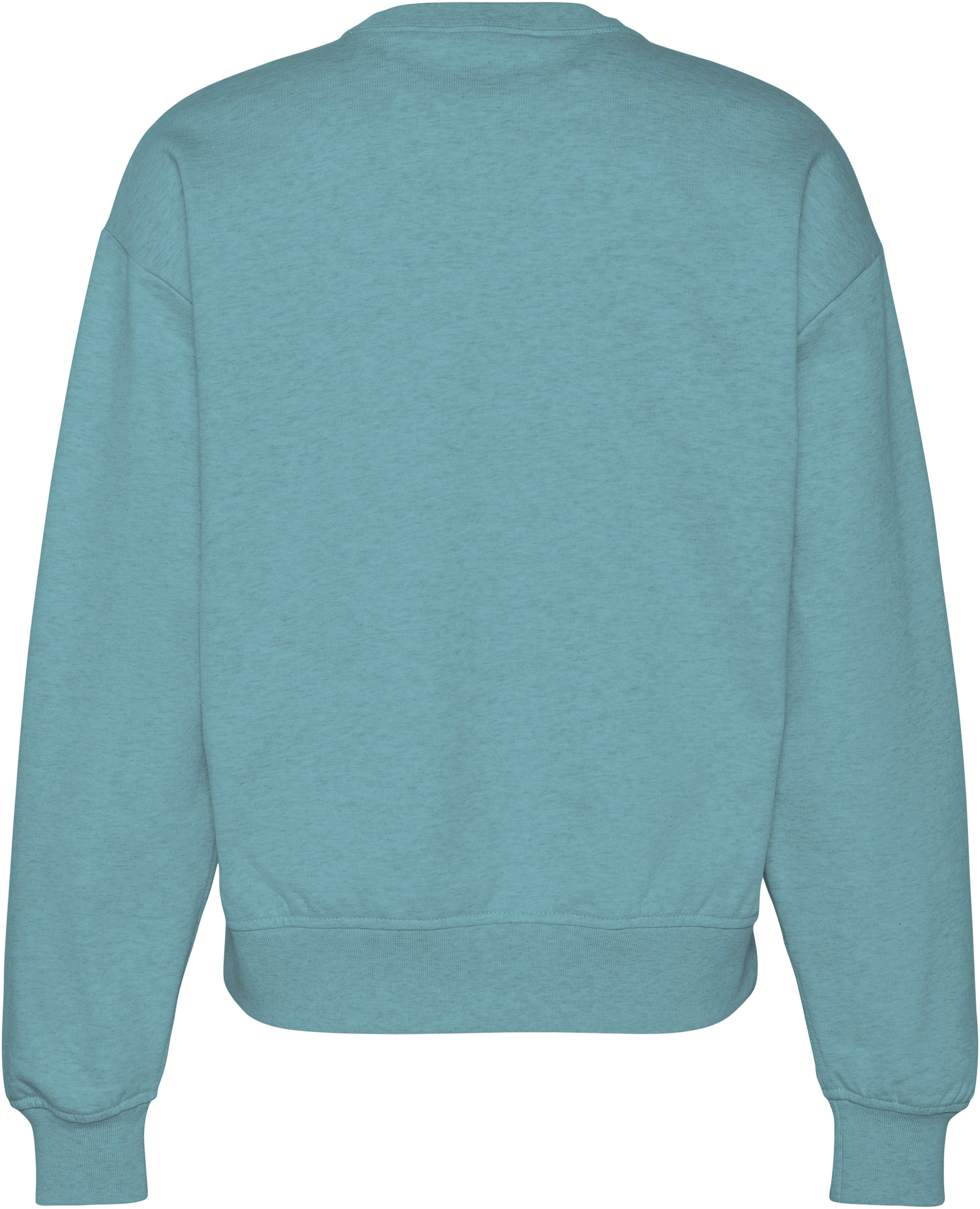 Calvin Klein Jeans Sweatshirt LS MONOLOGO FRENCH TERRY RLXD CR, Logoschriftzug