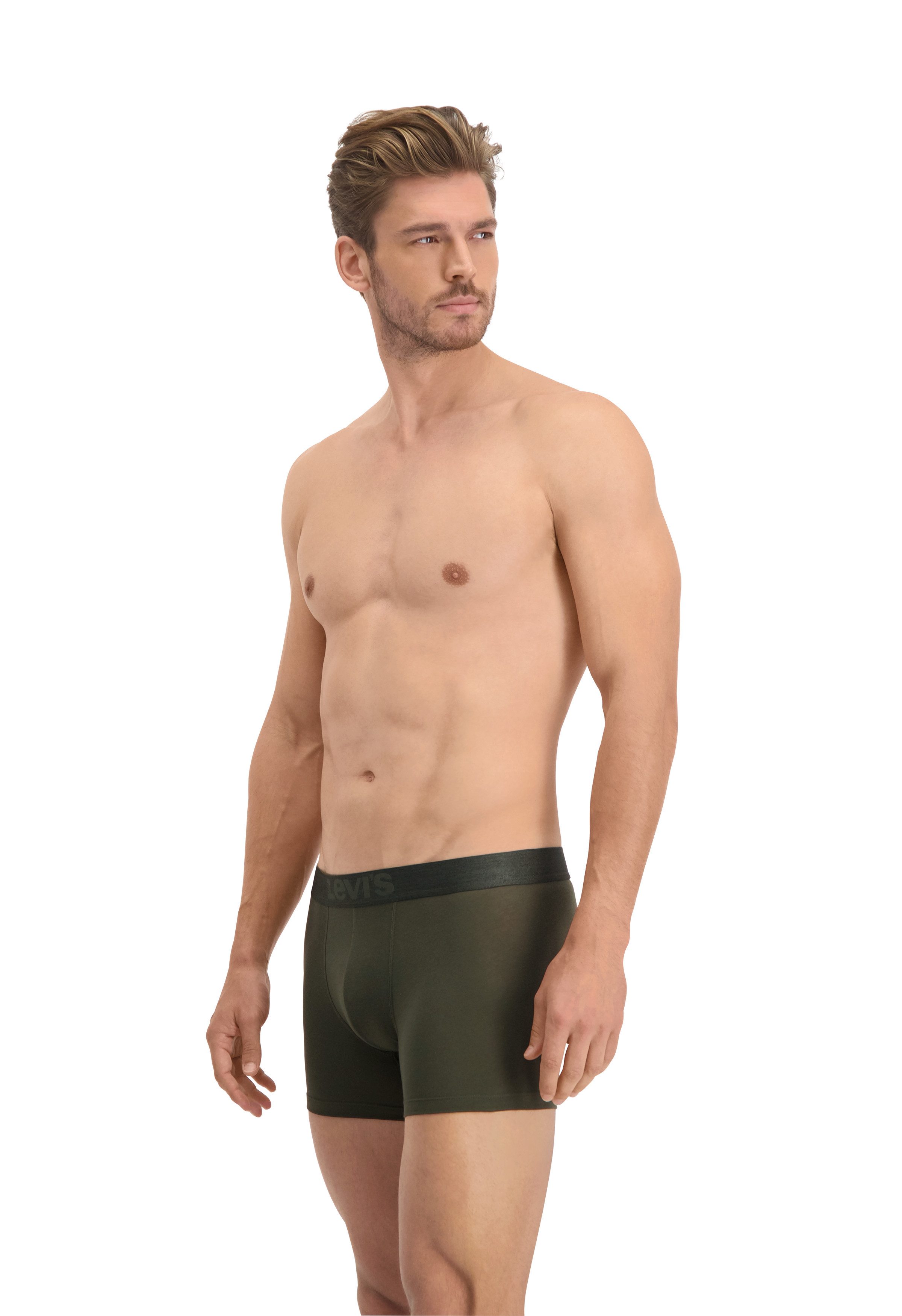 Boxershorts LEVIS MEN MEL WB BOXER BRIEF ORG CO 2P