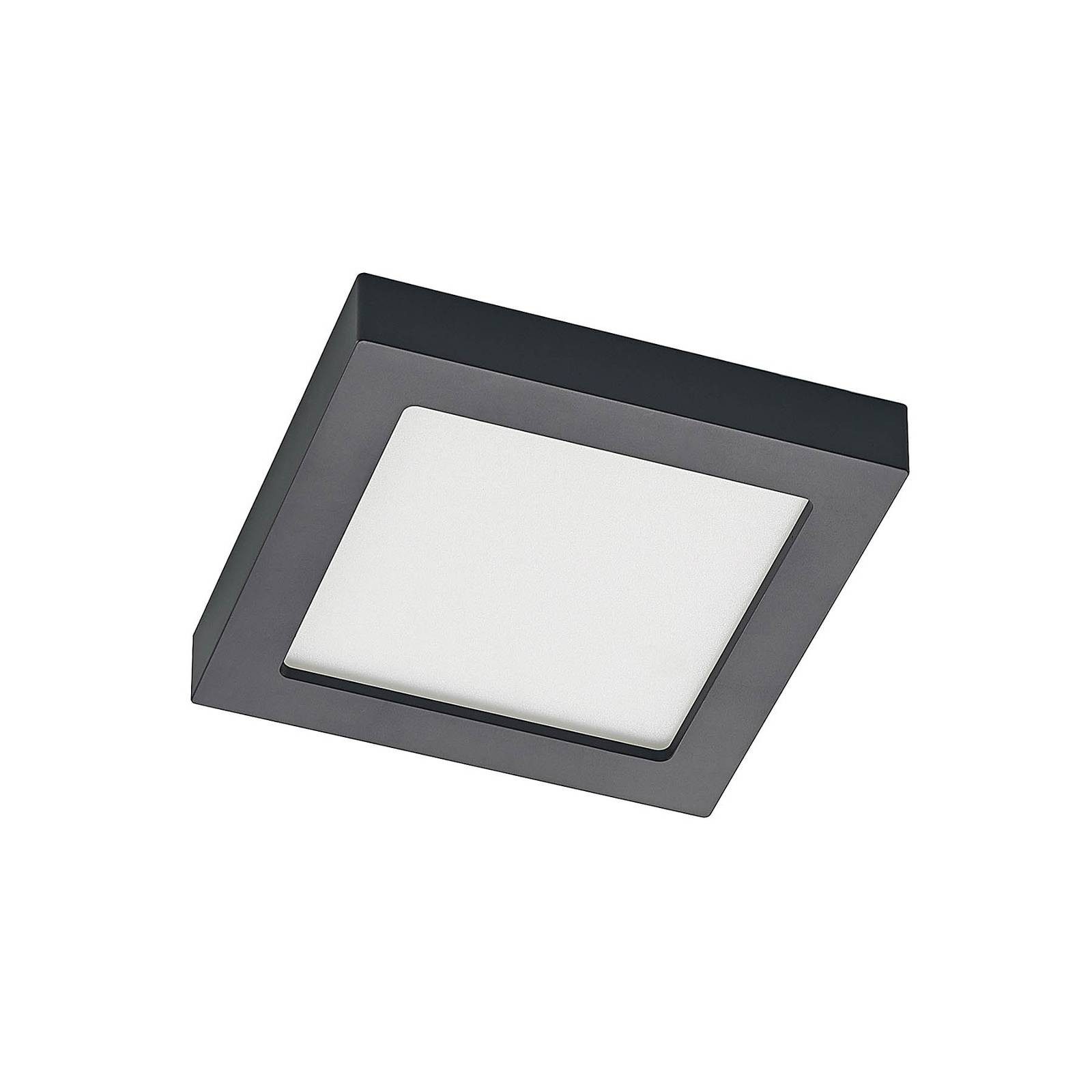 Prios LED Deckenleuchte Alette, dimmbar, LED-Leuchtmittel günstig online kaufen