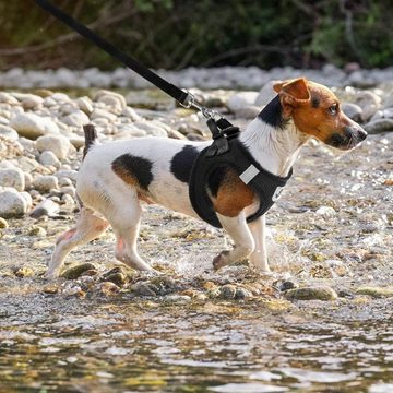 Lubgitsr Hunde-Geschirr Katzengeschirr und Leine Set Ausbruchsicher für kleine, mittelgroße