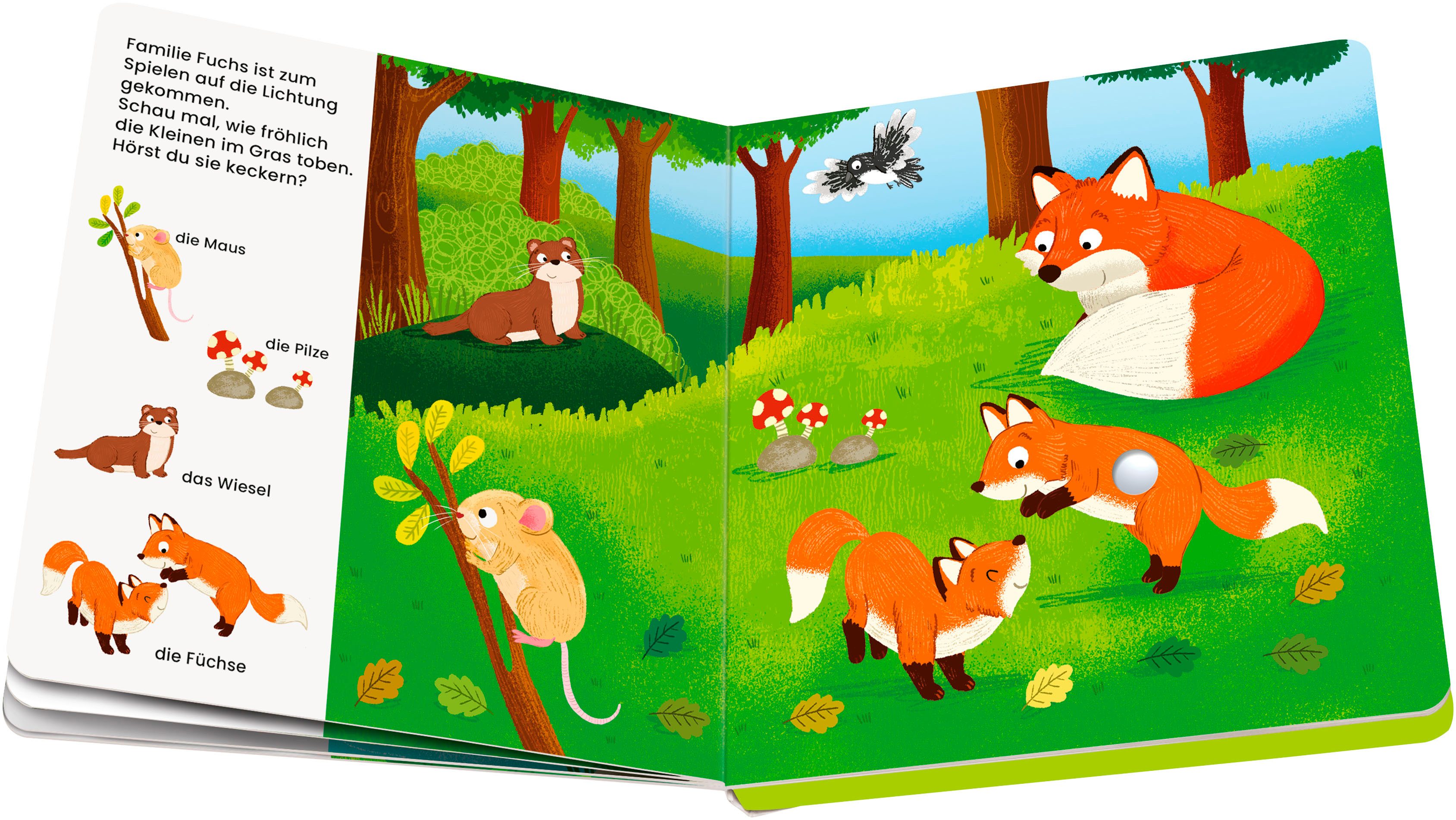 Play+ Mein allererstes Soundbuch Tiere im Wald – Bild 4 von 4