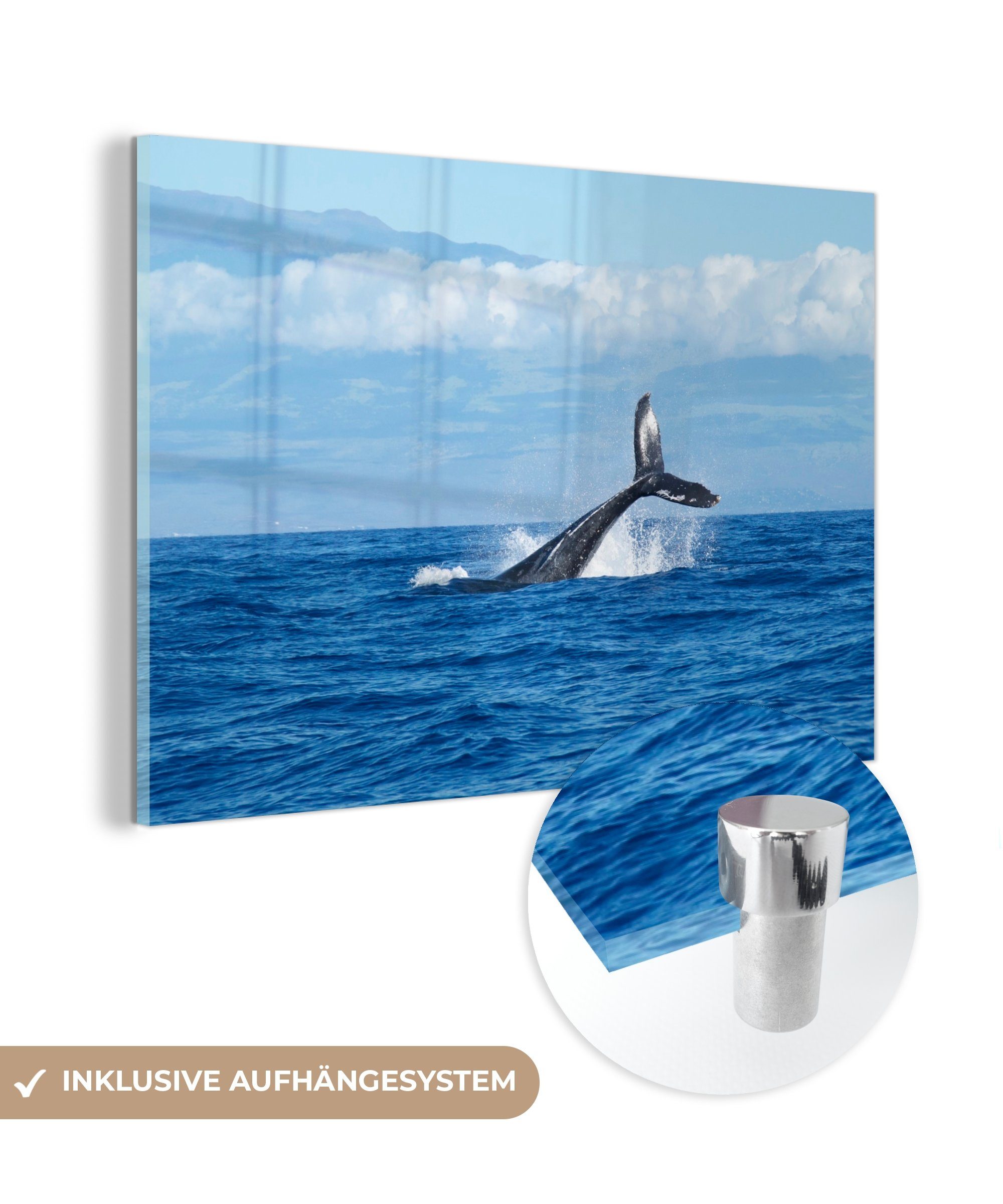 MuchoWow Acrylglasbild Wal - Ozean - Wolken, (1 St), Acrylglasbilder Wohnzimmer & Schlafzimmer