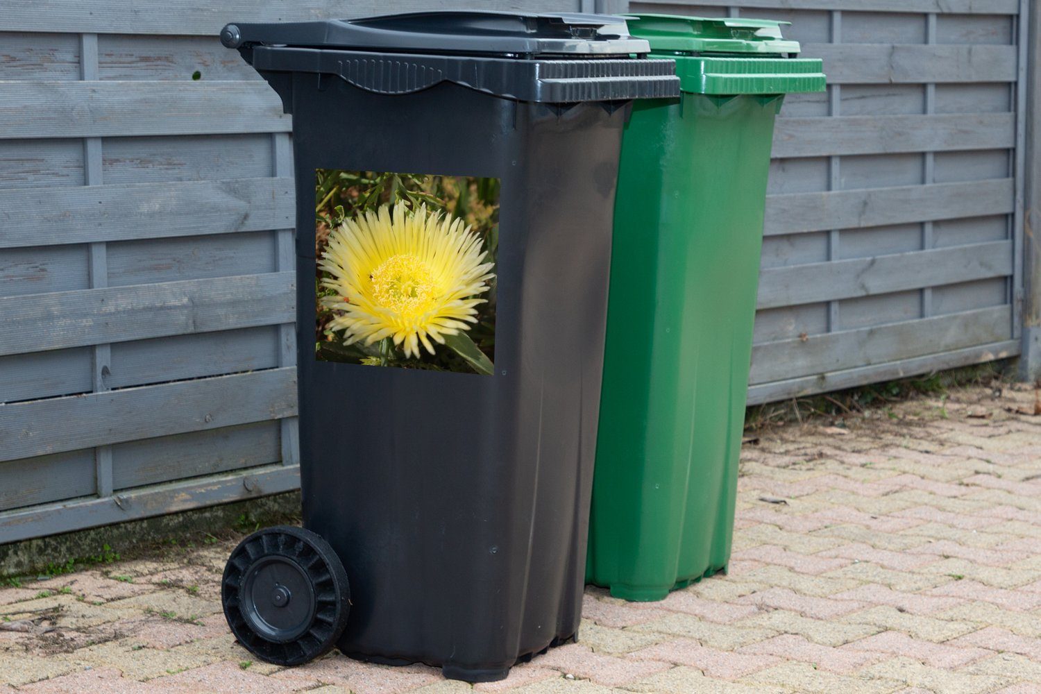 Eispflanzenart Container, St), gelbe Wandsticker MuchoWow (1 Sticker, Abfalbehälter Mülltonne, Eine Mülleimer-aufkleber,
