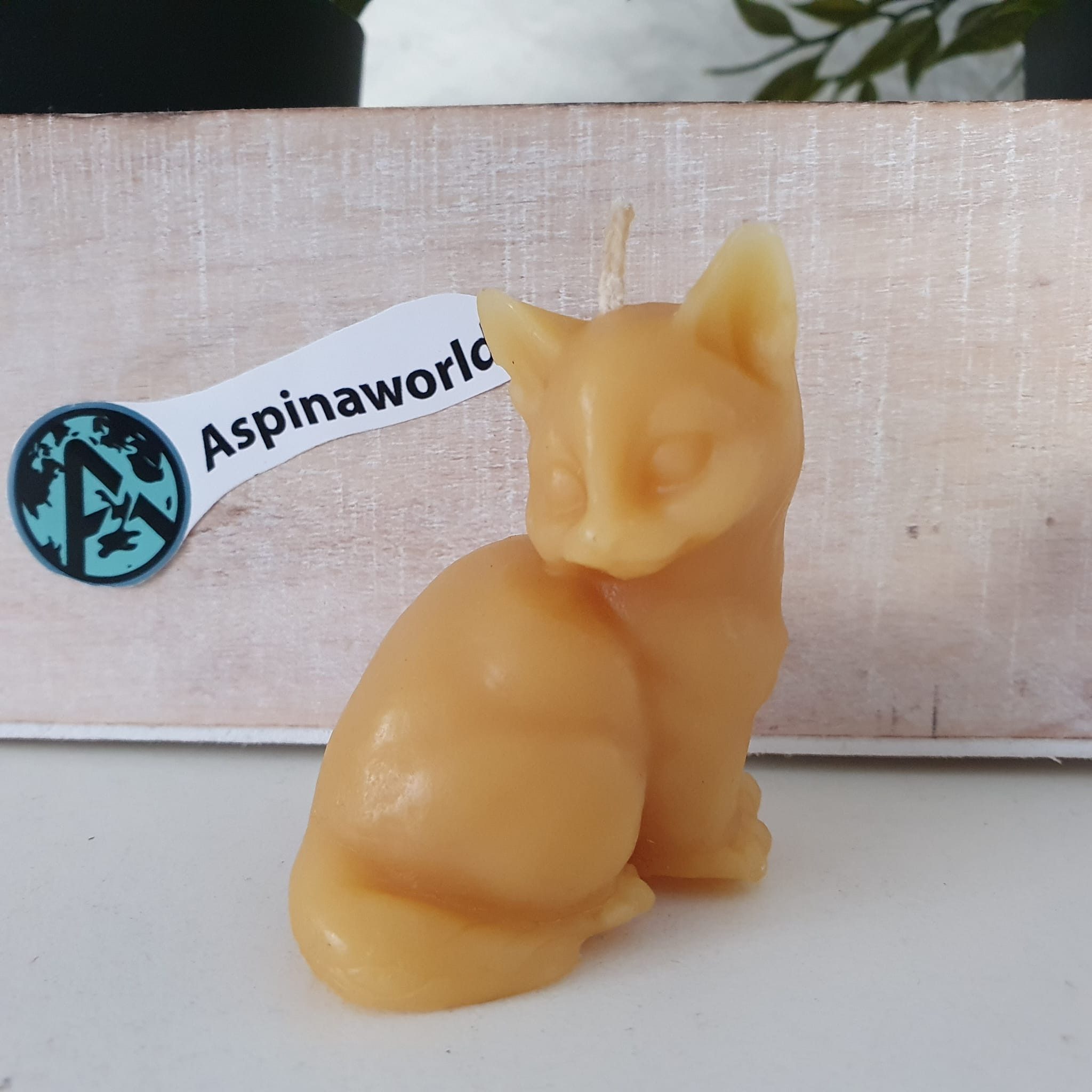 Aspinaworld Bienenwachskerze Katzen Kerze 5,5 cm – Kerze aus Bienenwachs