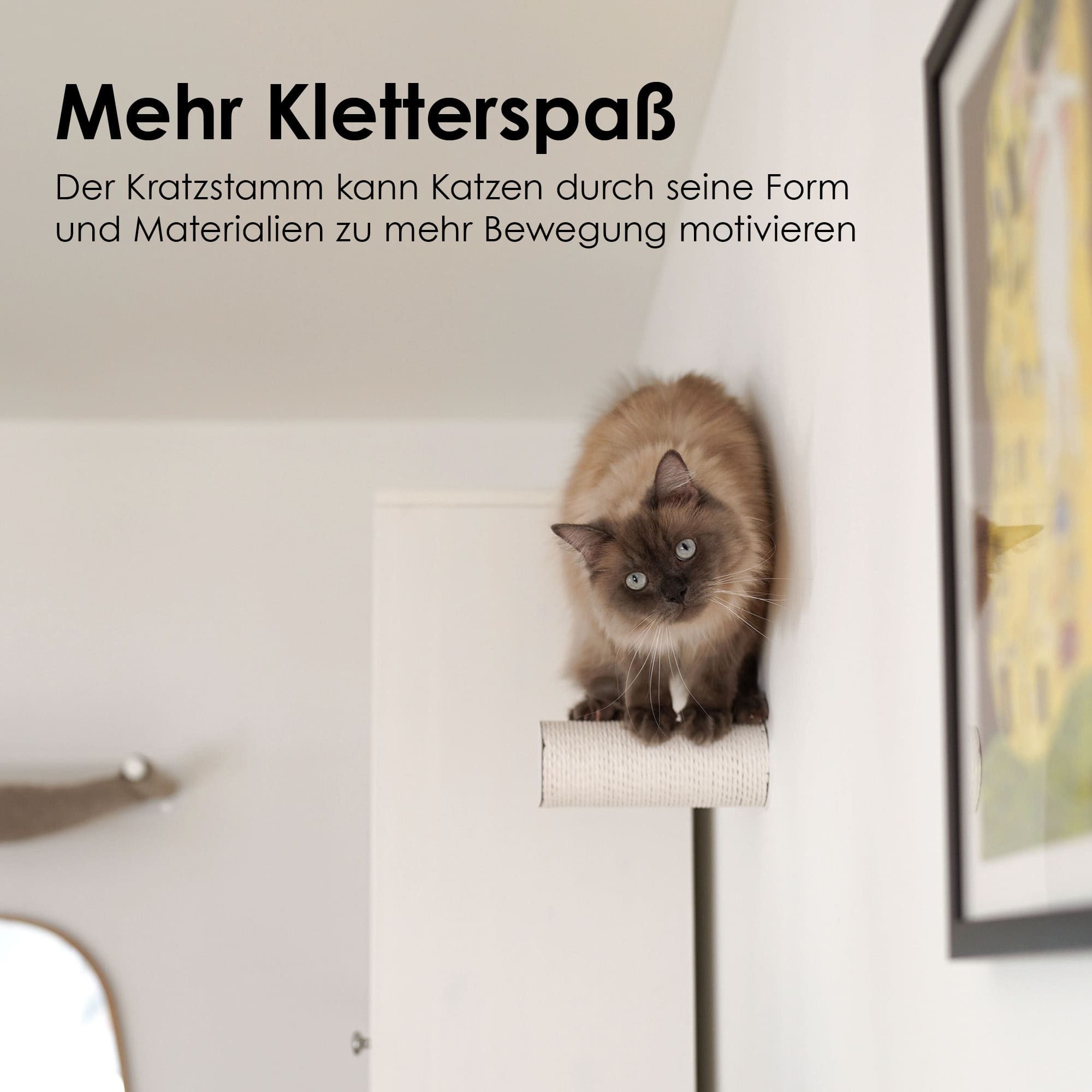LucyBalu Katzen-Kletterwand Hüpfstamm und Kletterstufe JUMPER LITE, Katzen Kratzstufe aus hochwertigem Papierseil