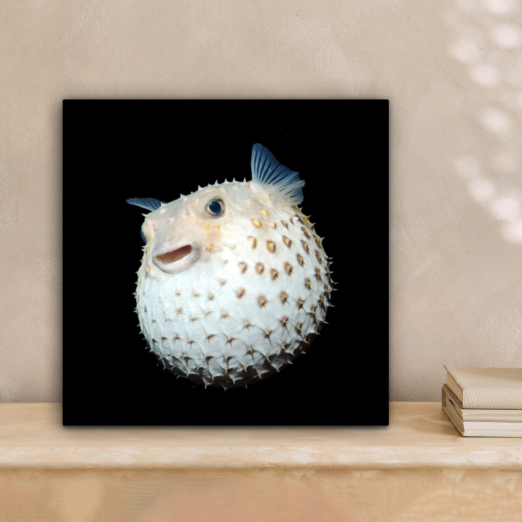 OneMillionCanvasses® Leinwandbild Fische - Meerestiere - günstig online kaufen