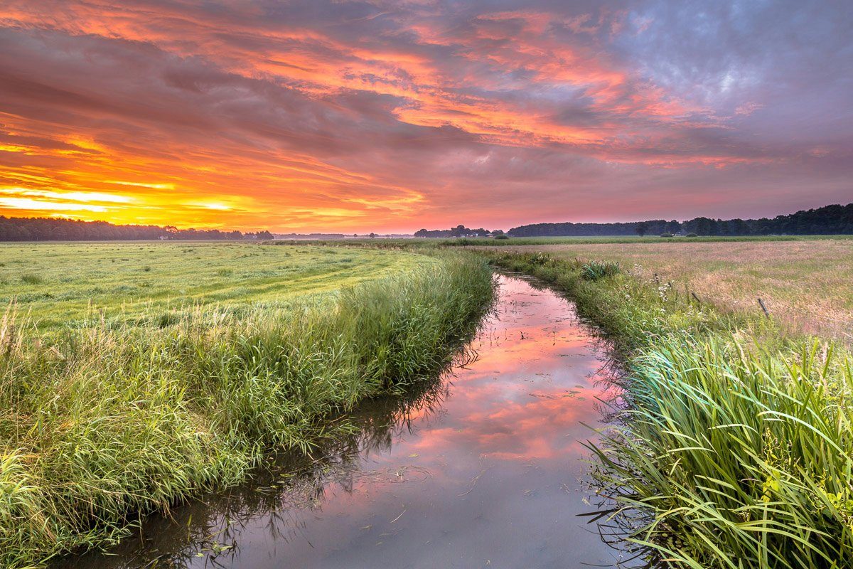 Papermoon Fototapete Fluss in Feld