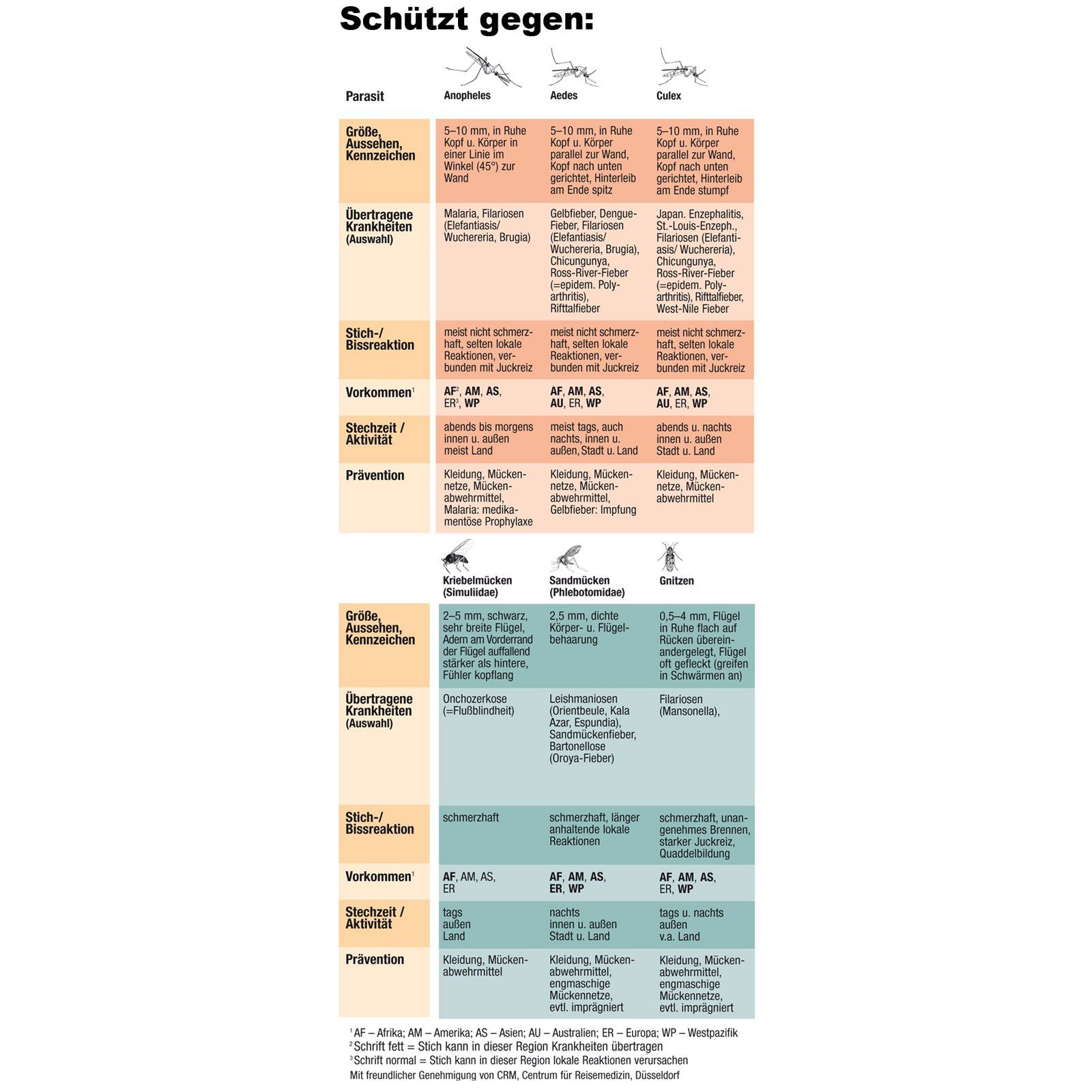 Moskitonetz Netz Schutz Fine Moskitonetz, Brettschneider Reise Insekten Pyramid Mesh Mücken