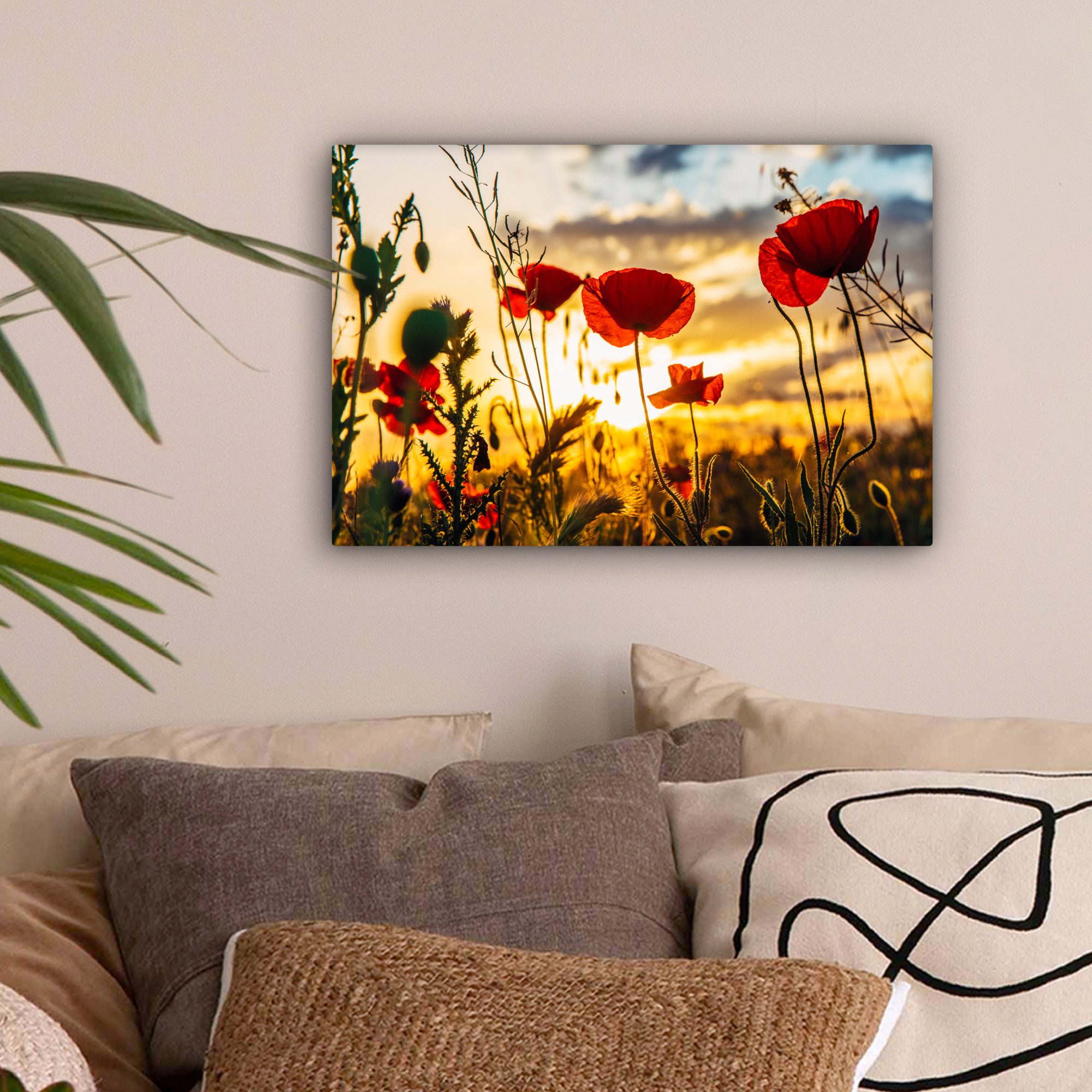 OneMillionCanvasses® Leinwandbild Rote Mohnblumen bei Sonnenaufgang, Fotodr günstig online kaufen