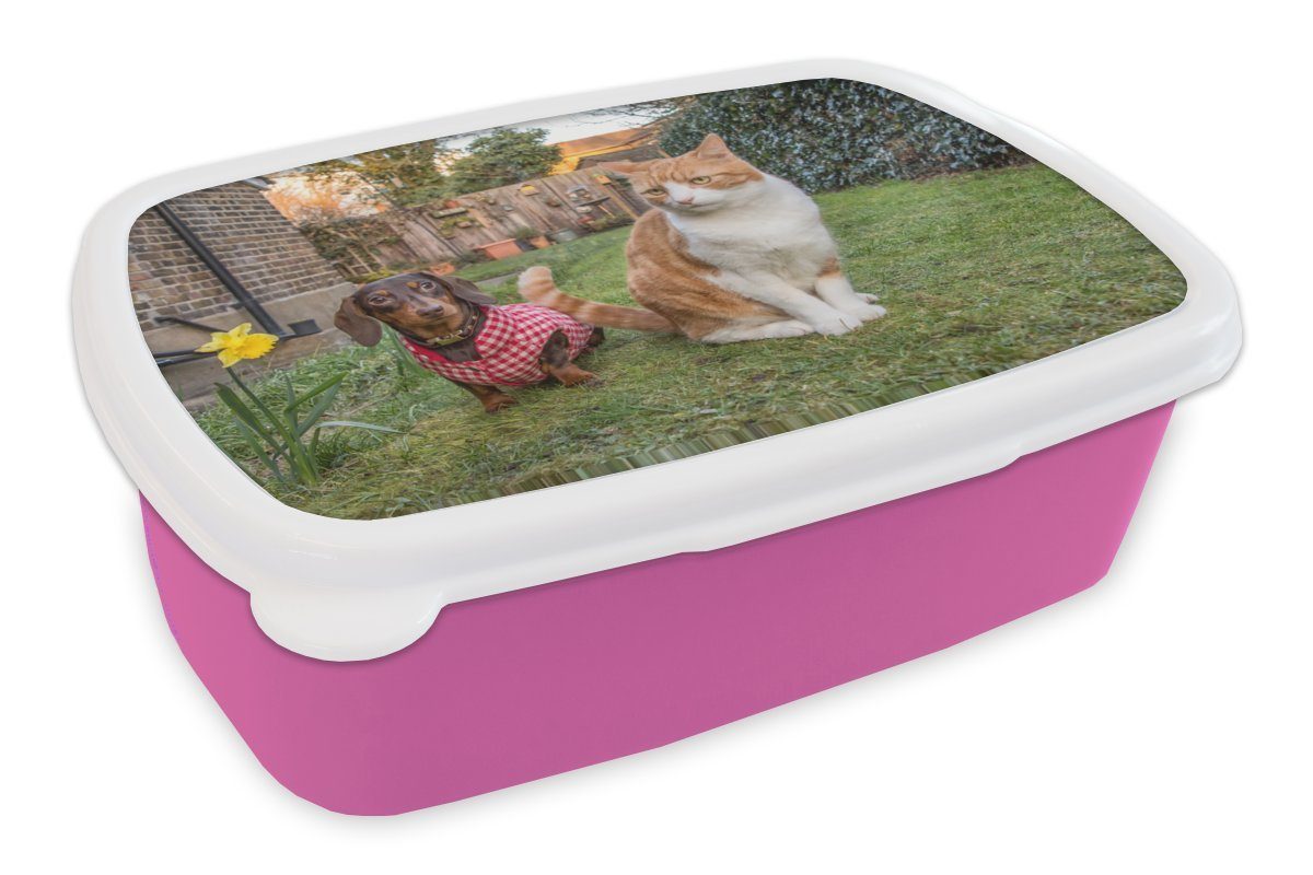 MuchoWow Lunchbox Hund - Katze - Garten, Kunststoff, (2-tlg), Brotbox für Erwachsene, Brotdose Kinder, Snackbox, Mädchen, Kunststoff rosa
