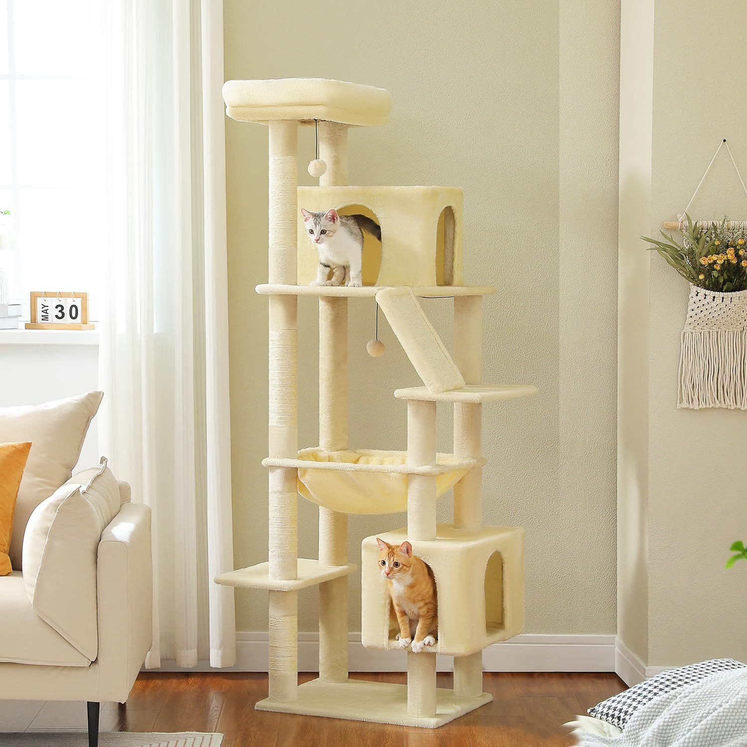 Purpurra Kratzbaum mit großer Höhlen und Hängematte, 143 cm/180 cm günstig online kaufen