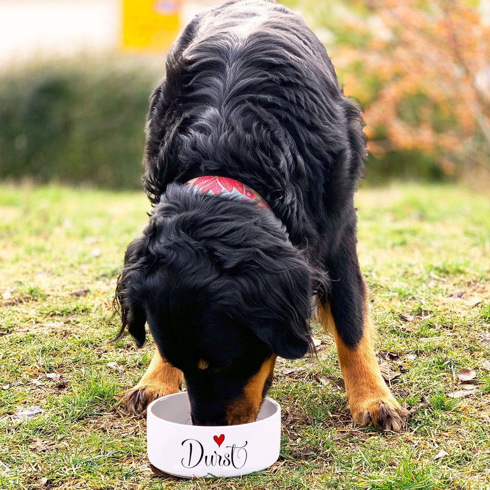 Cadouri Futternapf HUNGER & DURST Design-Hundenapf-SET, Futterschüsseln für Hunde, Keramik, lebensmittelechte, schwere Näpfe mit Motiv, 1000 ml