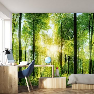 murimage® Fototapete Fototapete Wald 3D 366 x 254 cm Bäume Wohnzimmer Küche Schlafzimmer Tapete inklusive Kleister