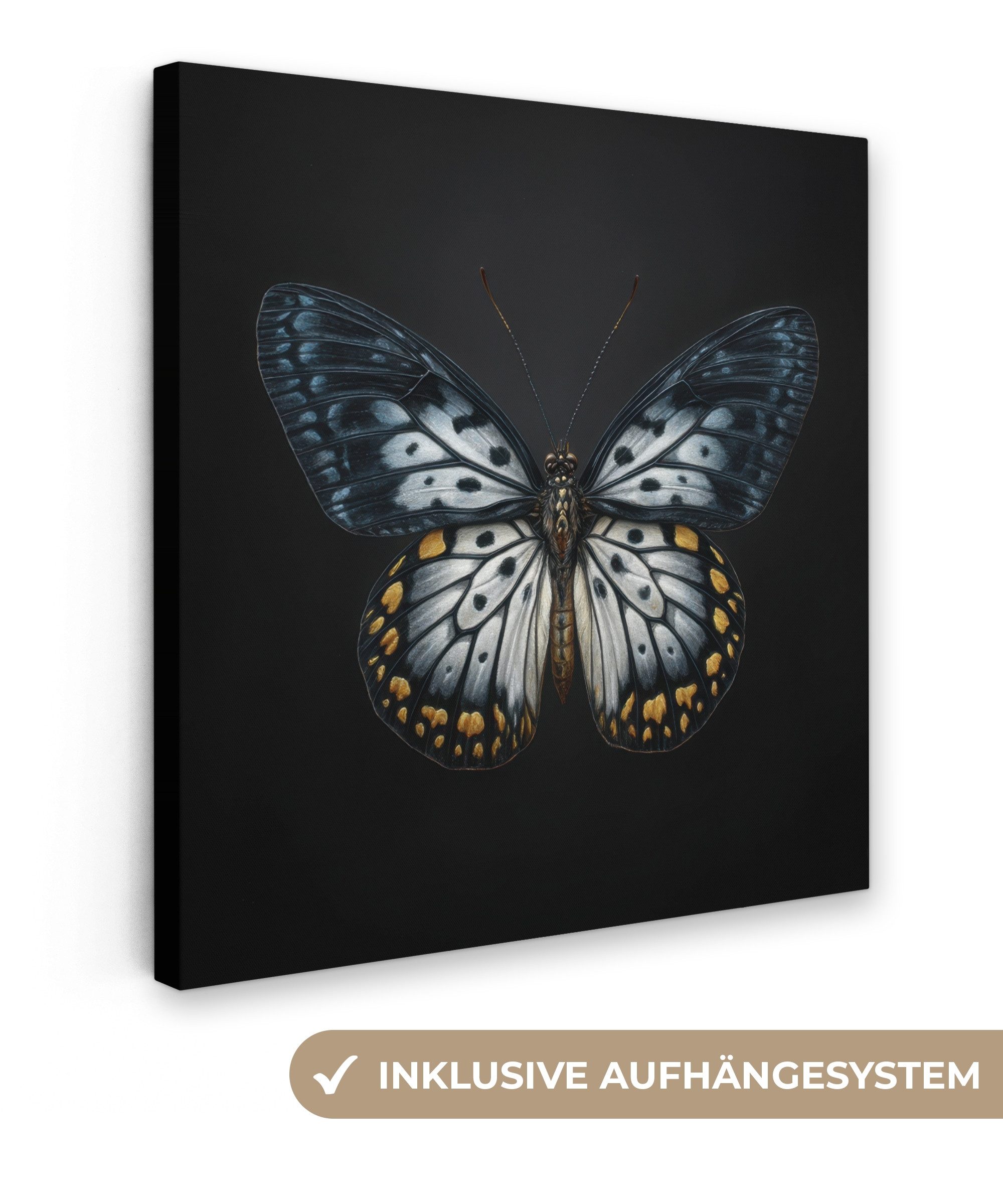 Leinwandbild Schmetterling - Monochrom - Balance