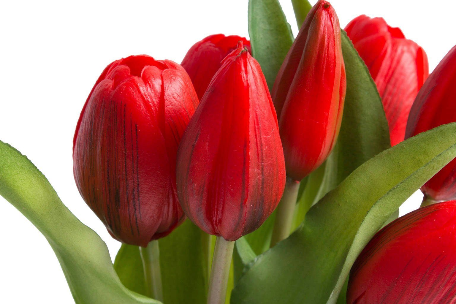 im rot Botanic-Haus, 32 Tulpenbündel cm, Kunstblume 7er-Set Willa Höhe Tulpe,