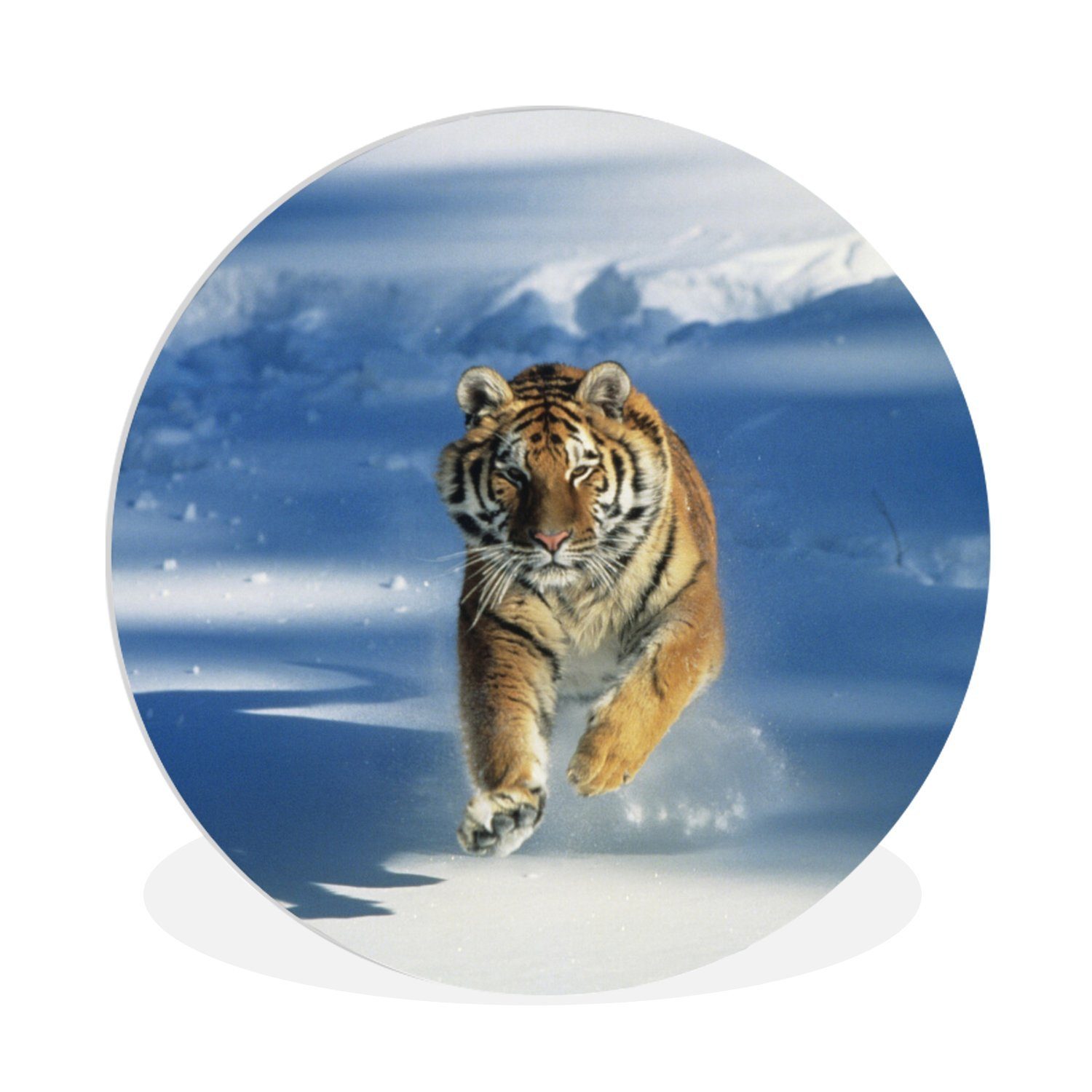 MuchoWow Gemälde Sibirischer Tiger in Aktion im Schnee, (1 St), Kreis Wanddekoration Forex, Rundes Wandbild, Wohnzimmer, 30x30 cm