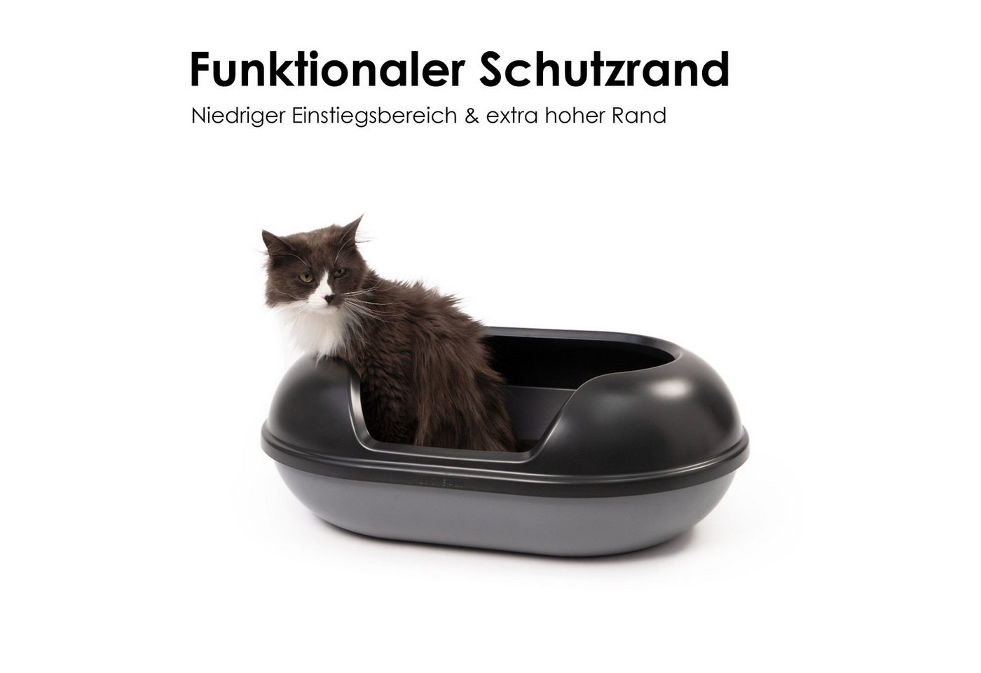 Thumbnail - LucyBalu Katzentoilette ARENA Katzenklo mit hohem Rand, große hop-in Katzentoilette