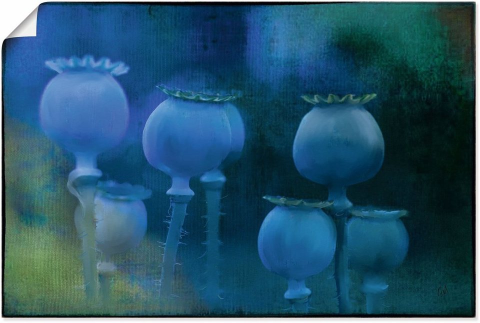 Artland Wandbild Blaumohn, Zen Bilder (1 St), als Alubild, Leinwandbild,  Wandaufkleber oder Poster in versch. Größen