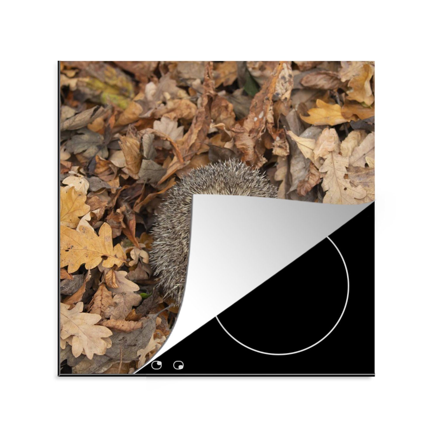 MuchoWow Herdblende-/Abdeckplatte Igel - Herbst - Wald, Vinyl, (1 tlg), 78x78 cm, Ceranfeldabdeckung, Arbeitsplatte für küche