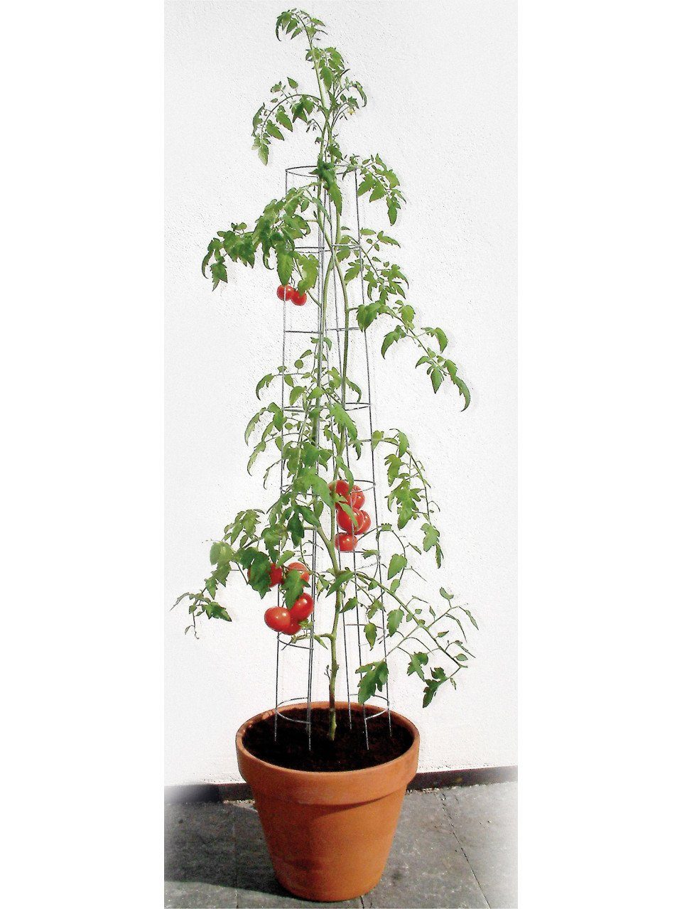 Rankhilfe Bellissa Tomatenturm 120cm 120 cm hoch