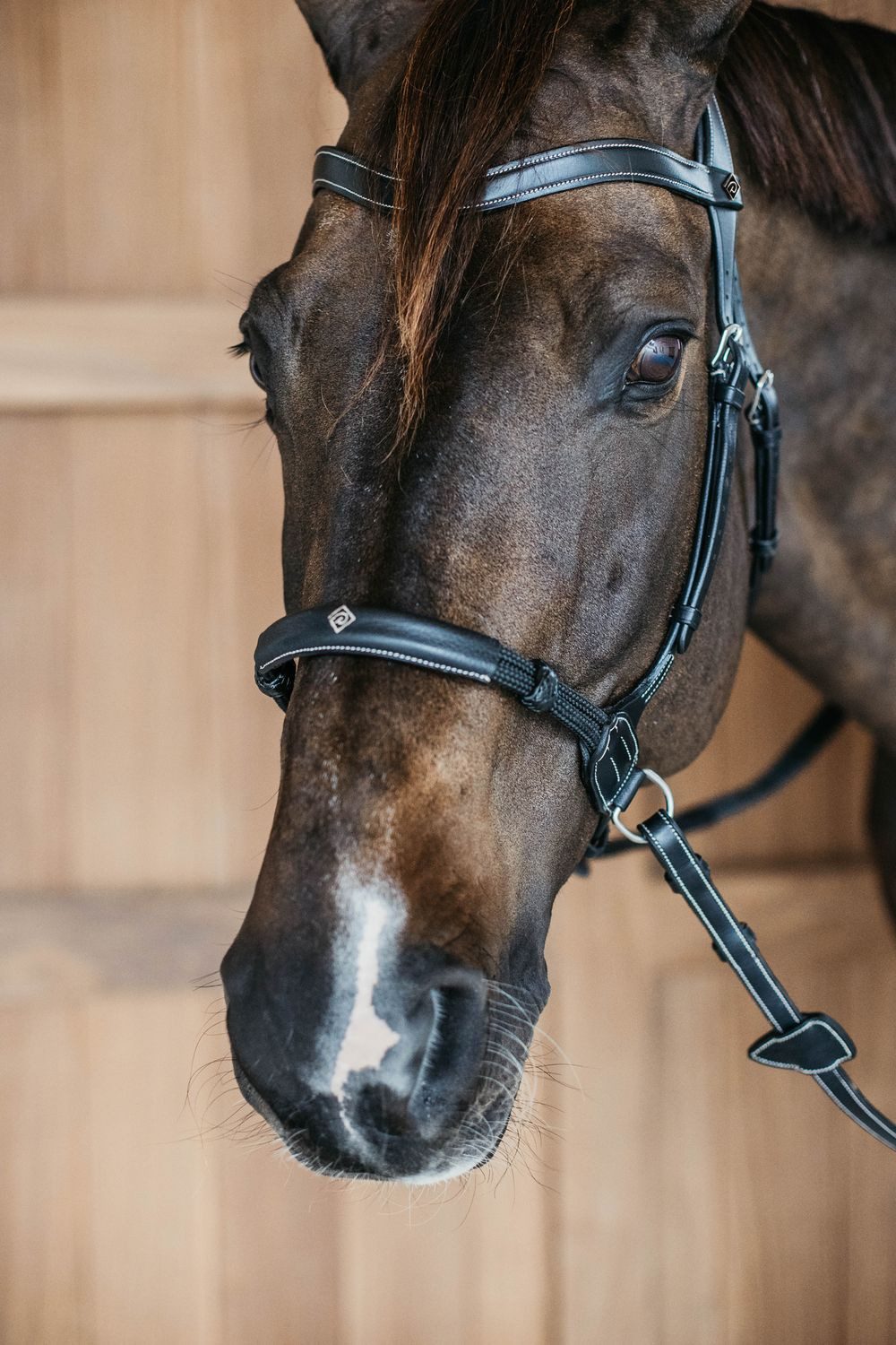 Dyon Trensenzaum Dyon gebisslose Trense