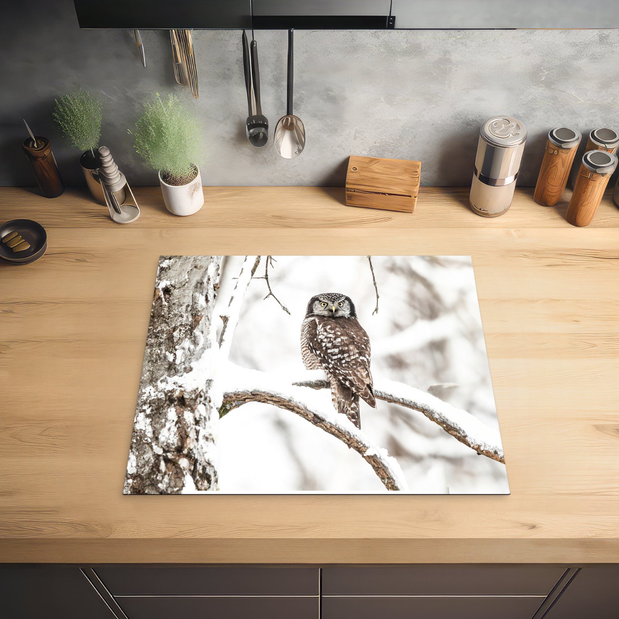 Porträt, küche, (1 - - - Vinyl, Ceranfeldabdeckung Schnee Winter Eule cm, tlg), Induktionsmatte für MuchoWow 59x52 die Herdblende-/Abdeckplatte Vögel -