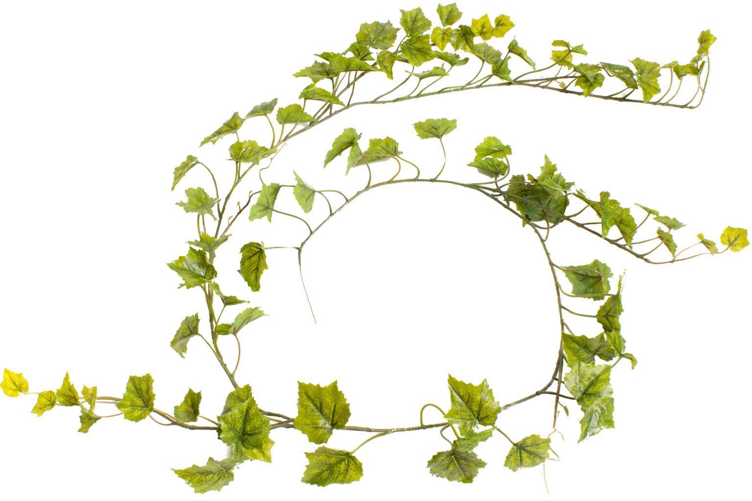 Künstliche Zimmerpflanze »Weinlaubgirlande« Weinlaub, Botanic-Haus, Höhe 180 cm-Otto