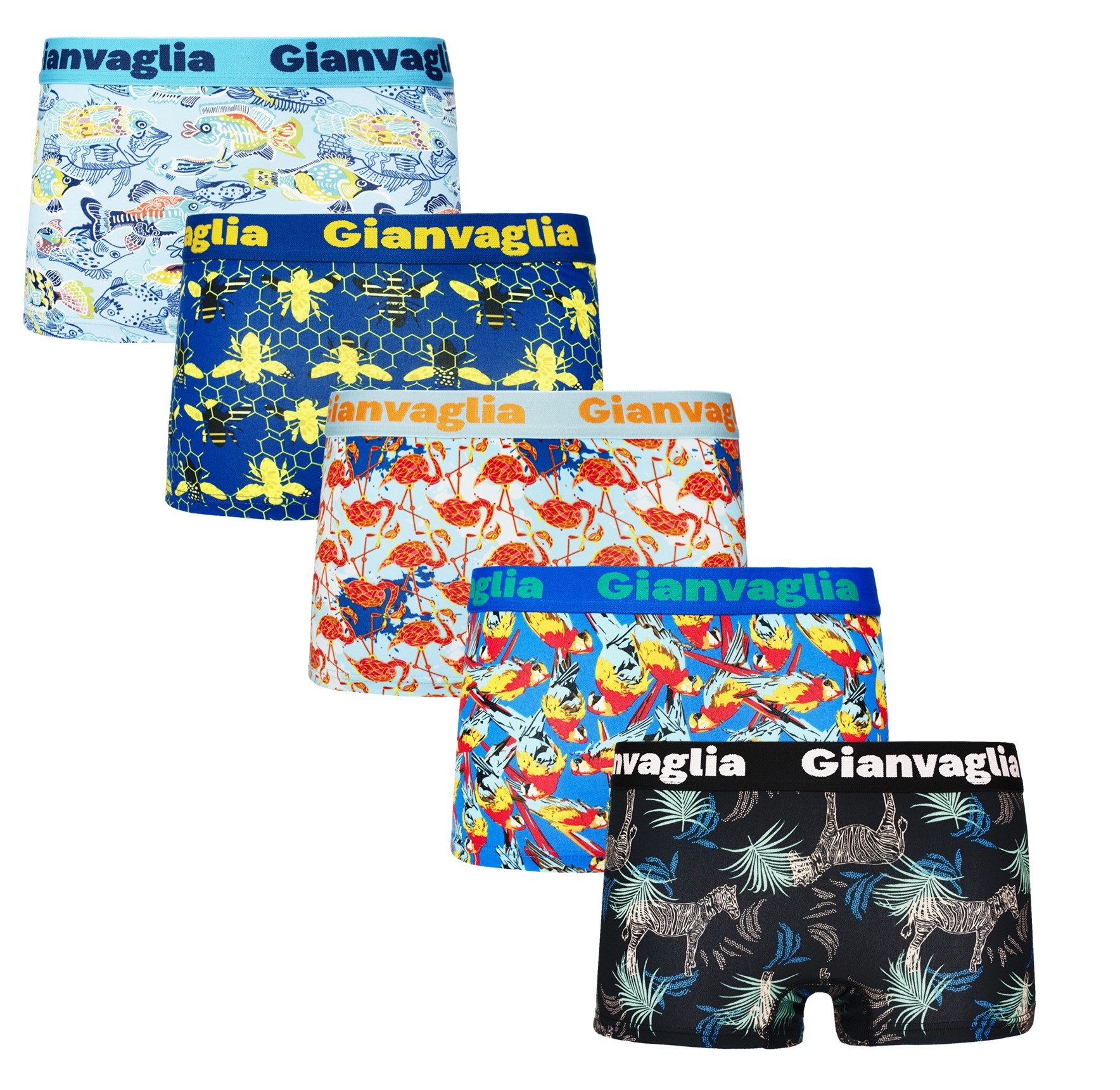 Holland Underwear Panty 5 x Damen Boxershorts Slips Panty Hot Pants Hipster GIANVAGLIA 8807 (Set bestehend aus 5 Boxer-Shorts)