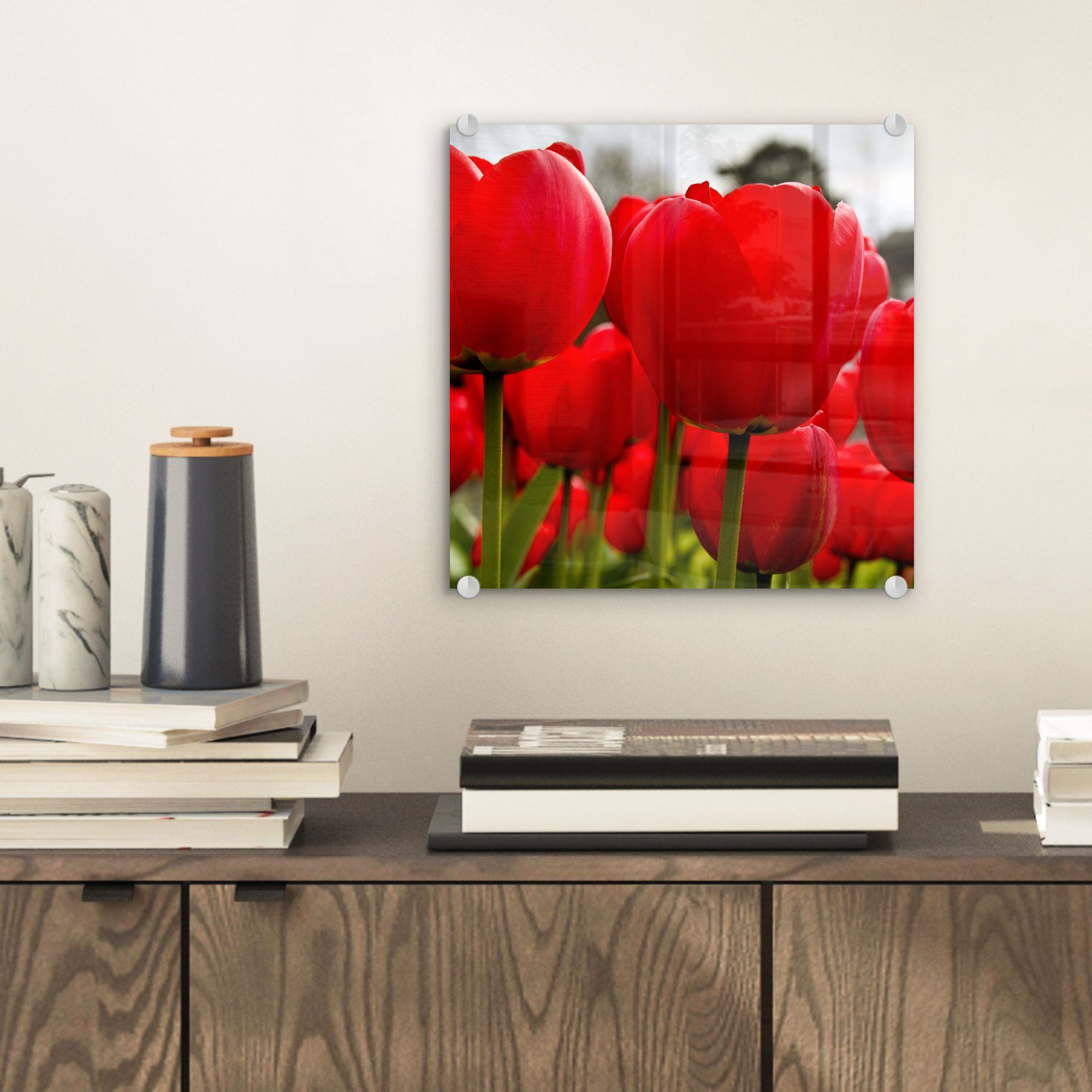 Bilder (1 St), Wandbild - - Tulpen, Foto auf Wanddekoration roten Glas Glas Glasbilder Nahaufnahme auf MuchoWow - von Acrylglasbild