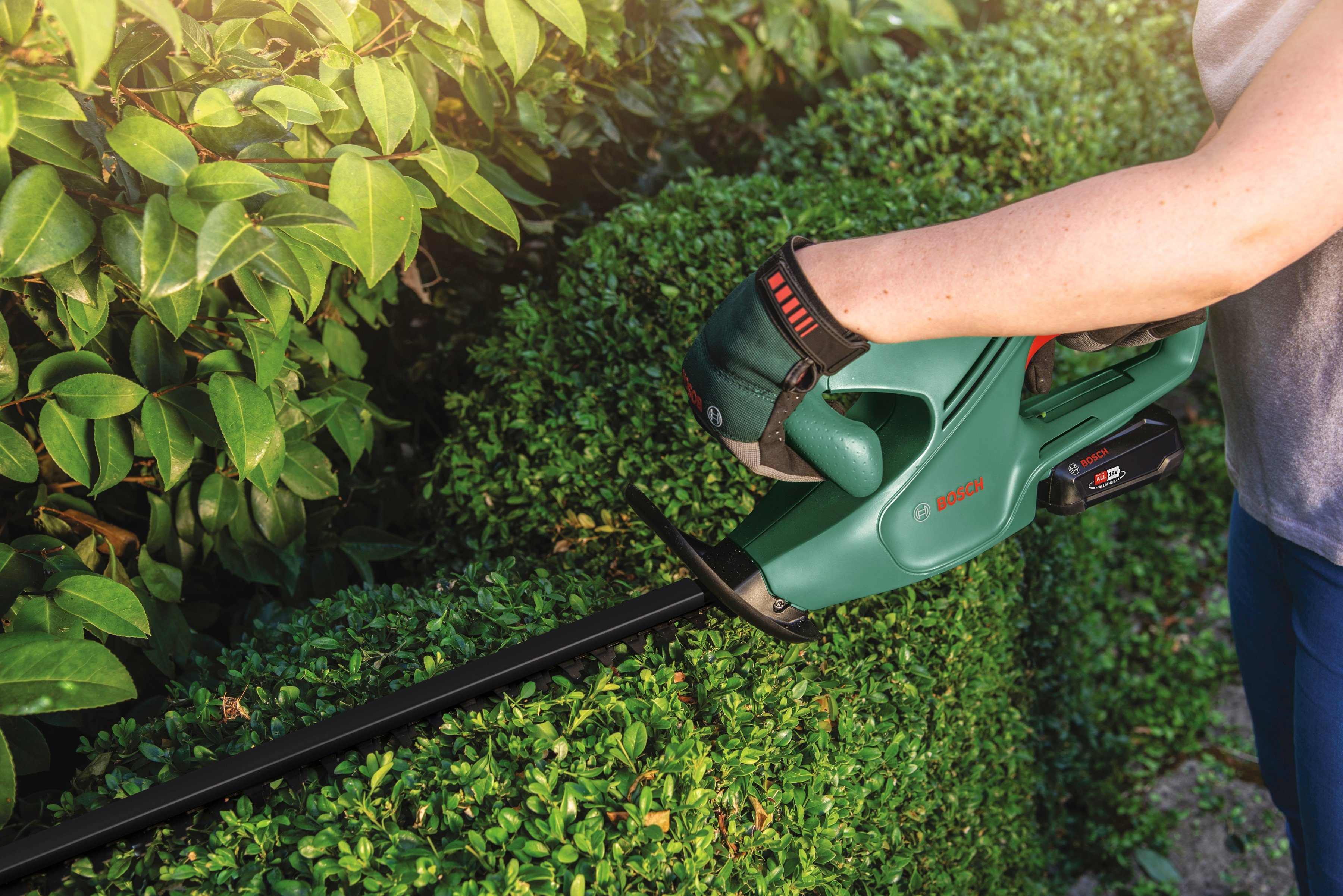 Bosch Home & Garden Akku-Heckenschere EasyHedgeCut 18-45, 45 cm Schnittlänge, ohne Akku und Ladegerät