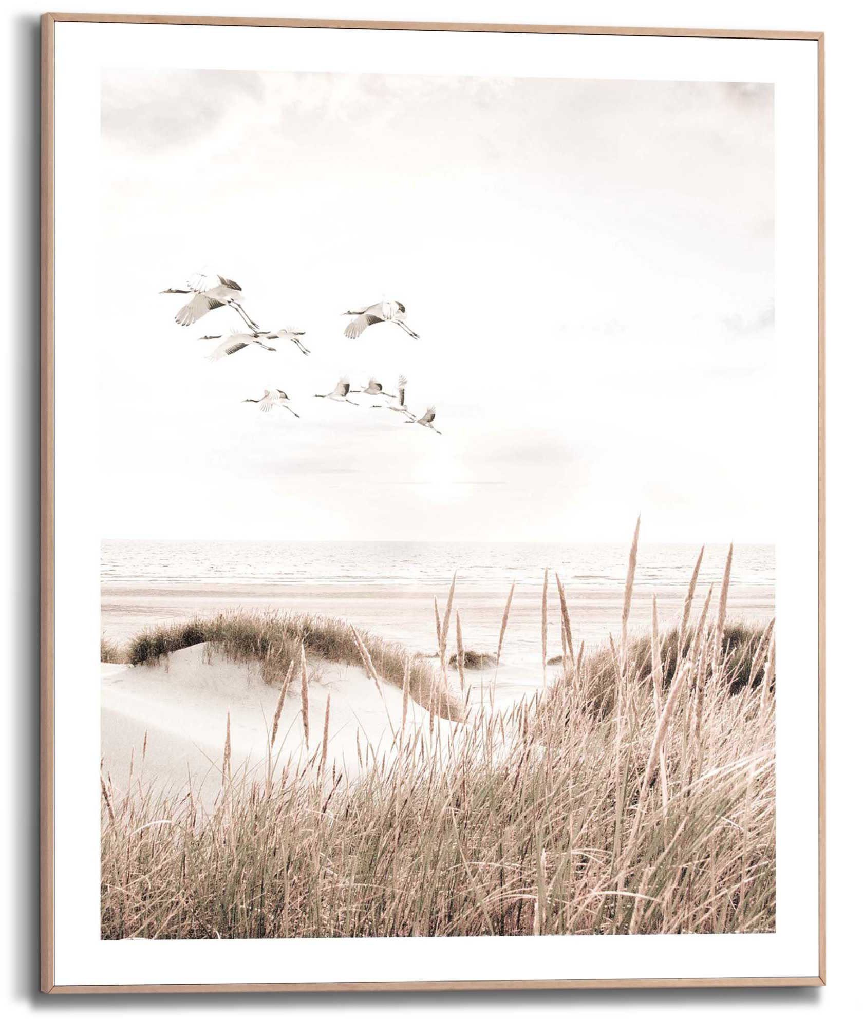 Reinders! Poster Kraniche, im Holzrahmen günstig online kaufen
