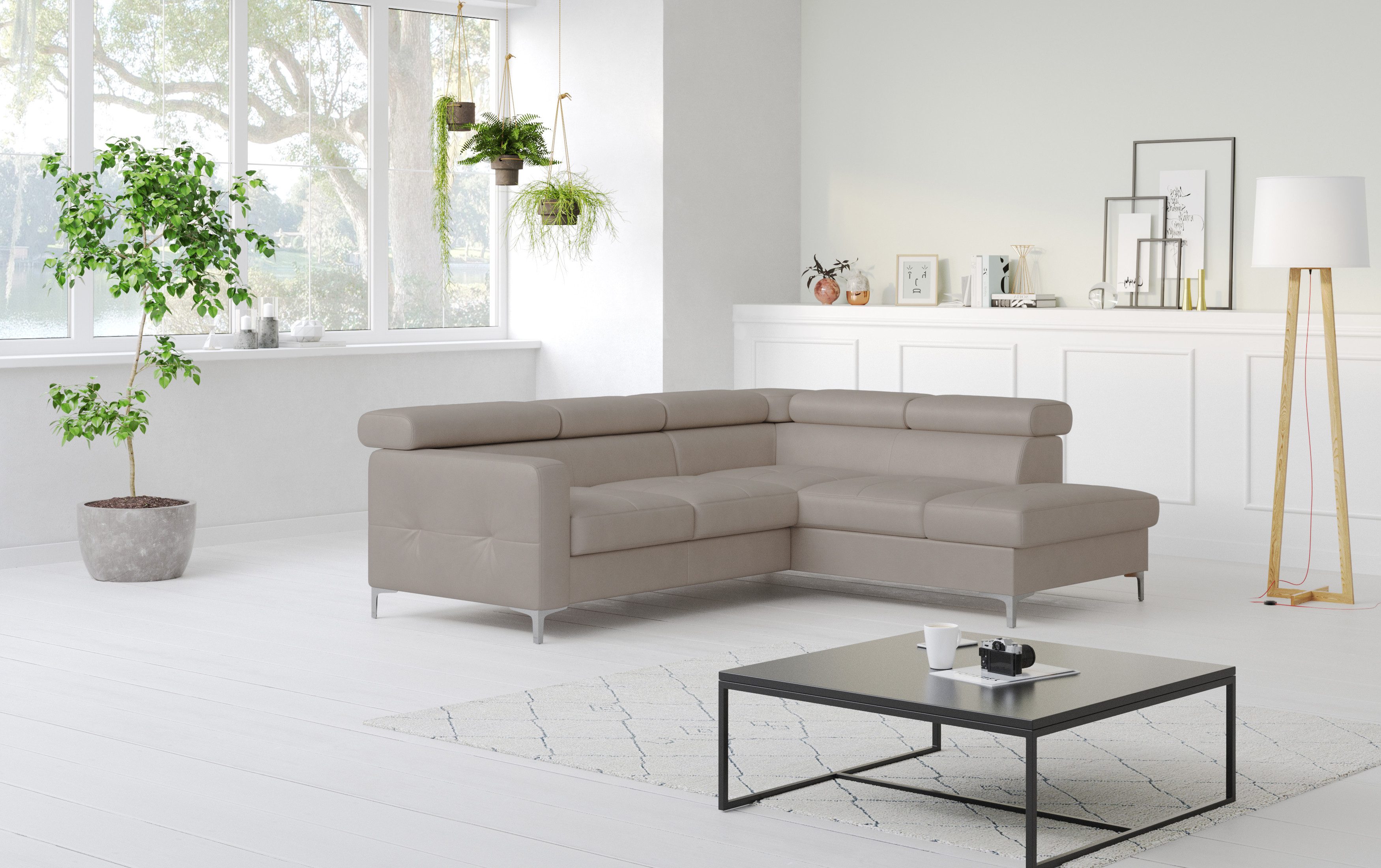 COTTA Ecksofa Sammy Echtleder, Echtleder mit Schlaffunktion und Bettkasten