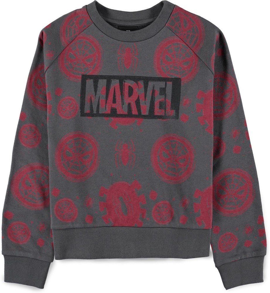 Spiderman Hoodie