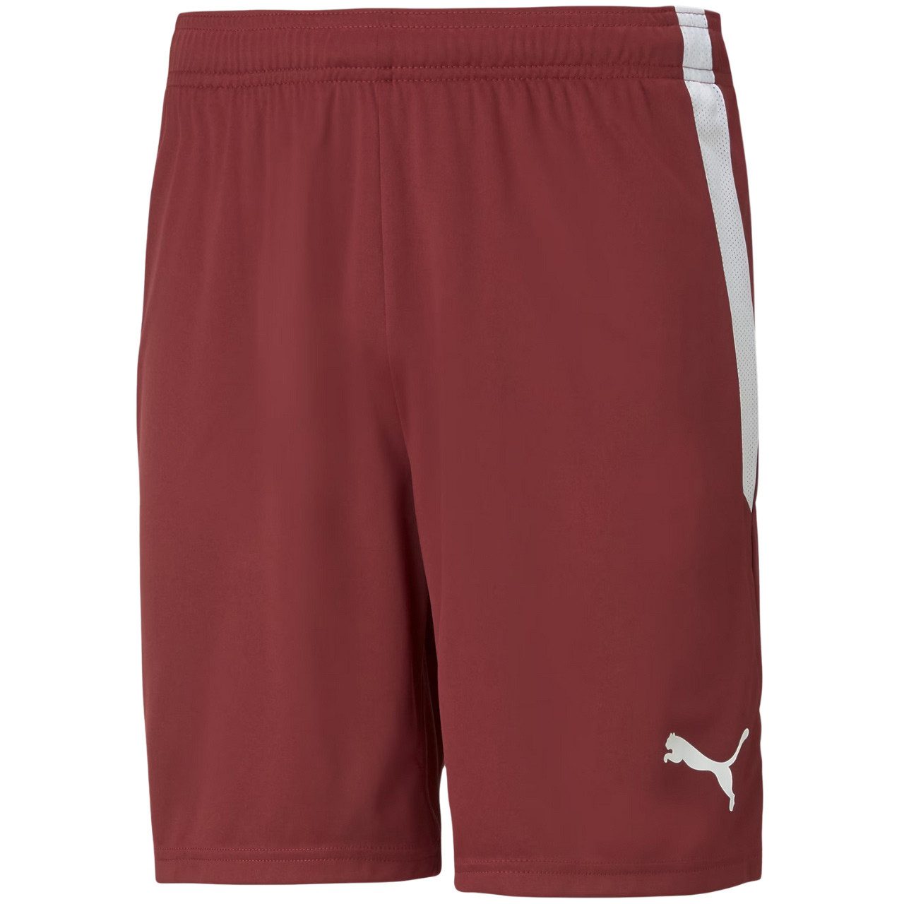 PUMA Trainingsshorts Puma teamLIGA